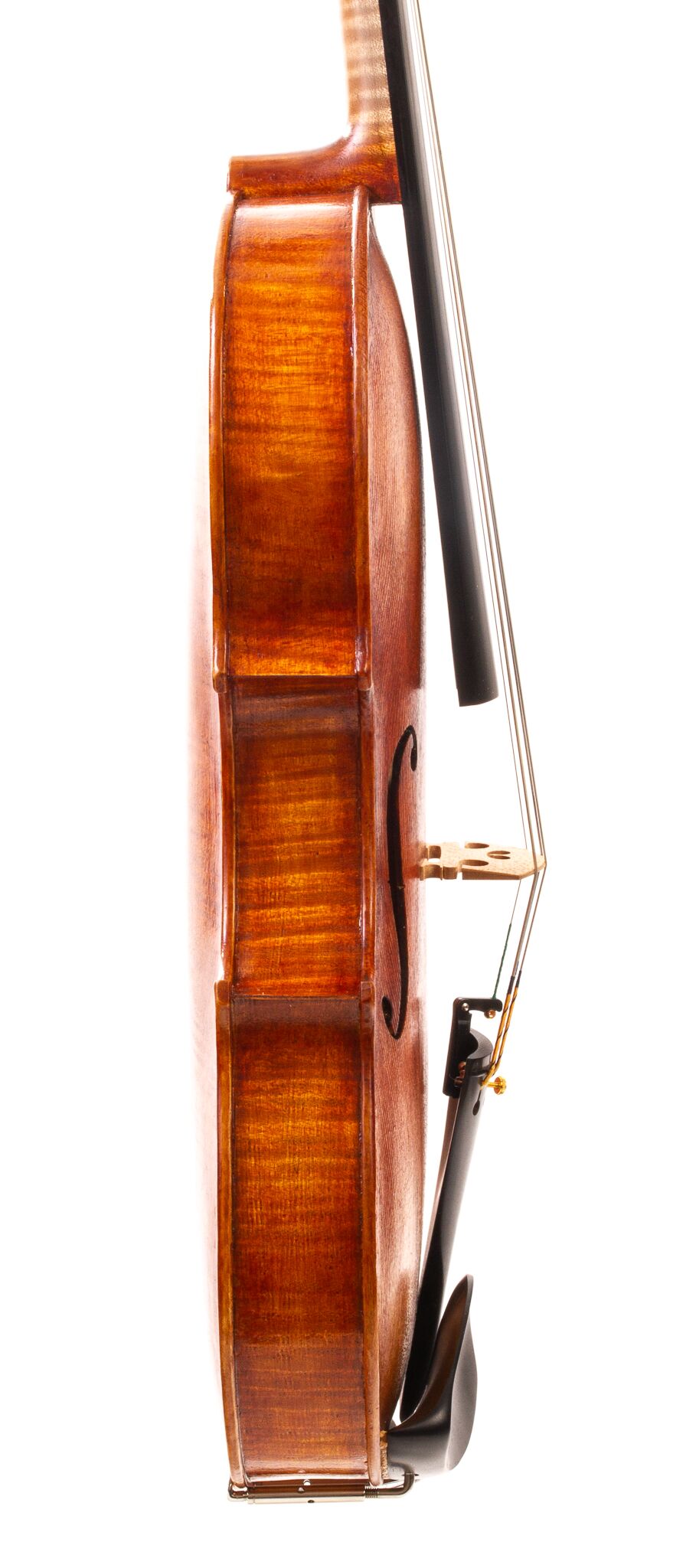 Julia-Felix-Viola-2023-09