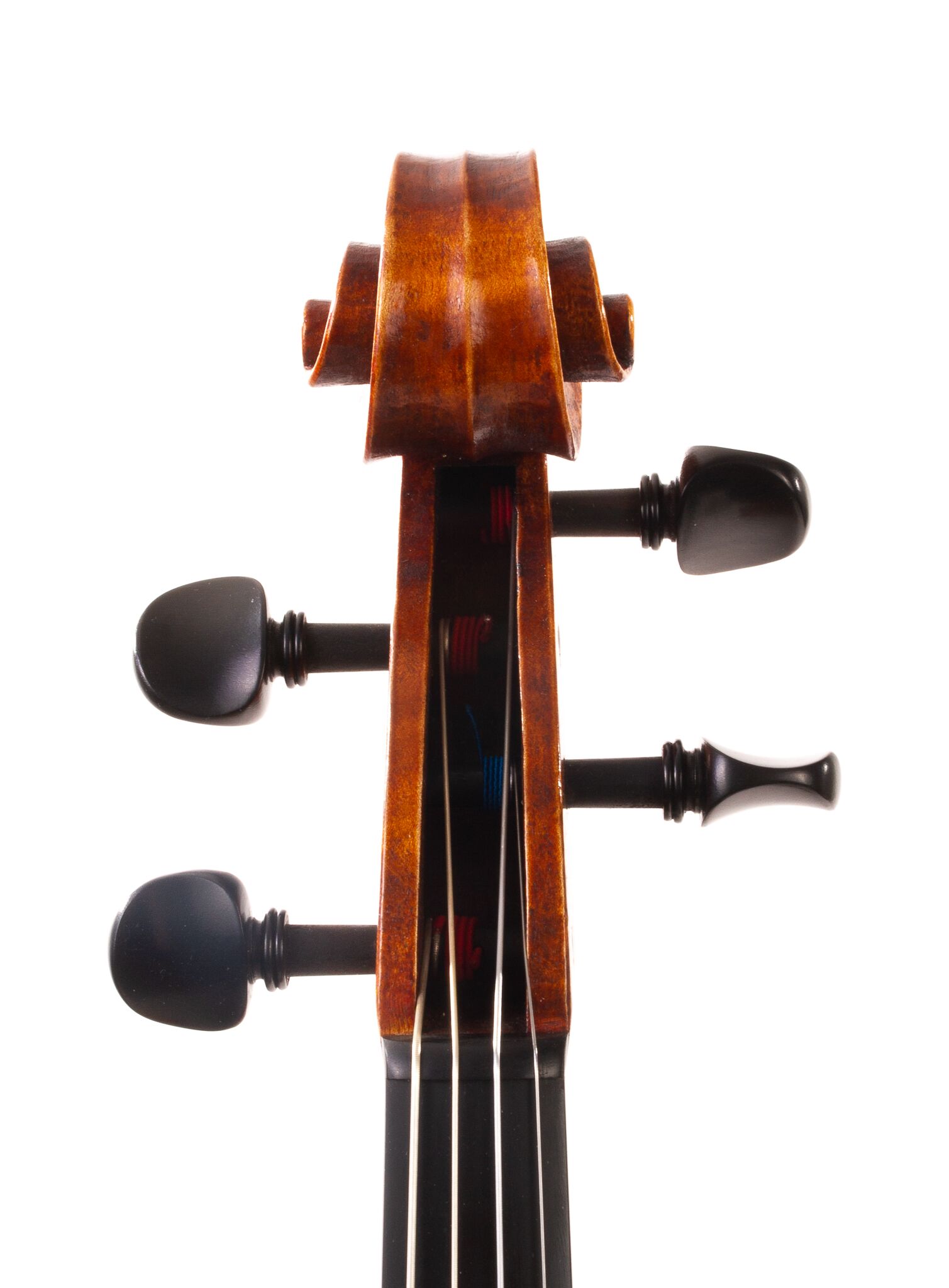 Julia-Felix-Viola-2023-12