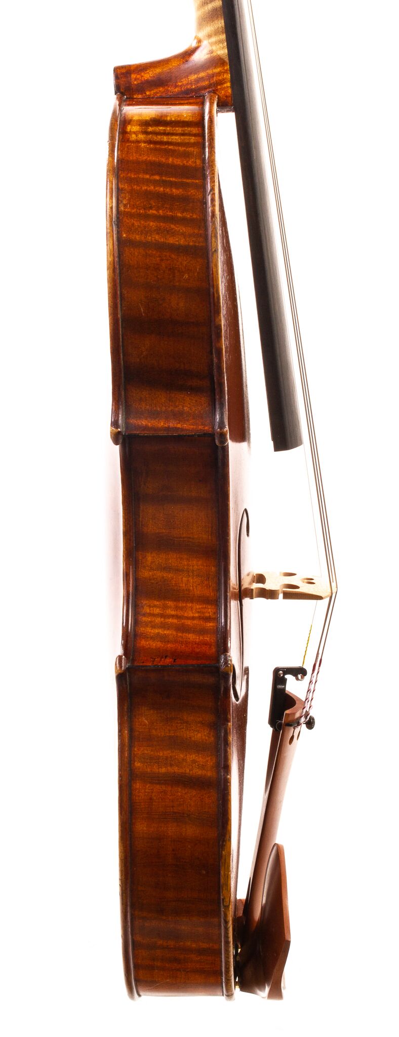 charles-jean-baptiste-collin-mezin-violin-1899-02