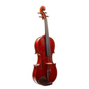 Leopold Widhalm Violin 1765 | Dolce Violins