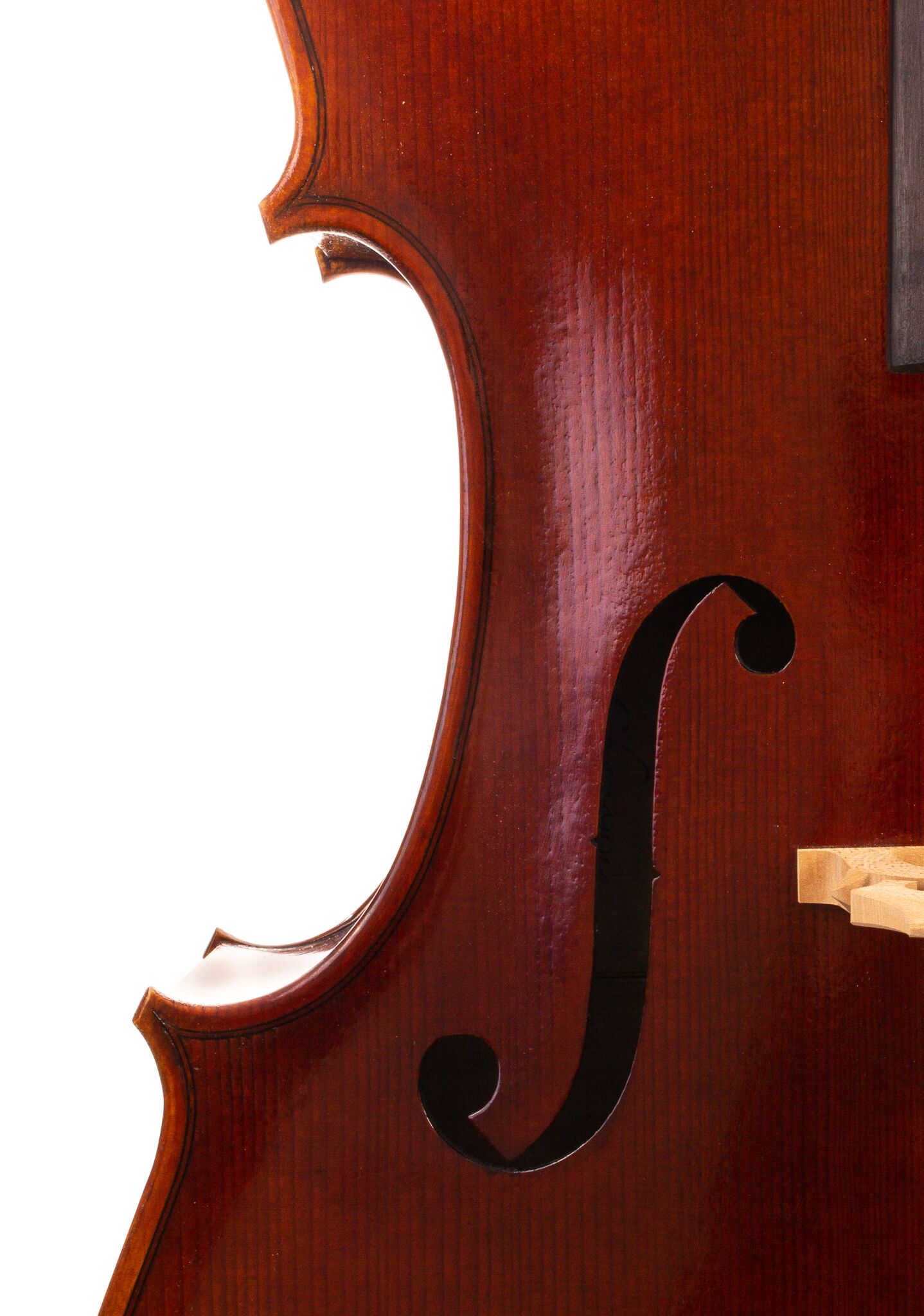 Chaconne-Full-Size-Cello-5