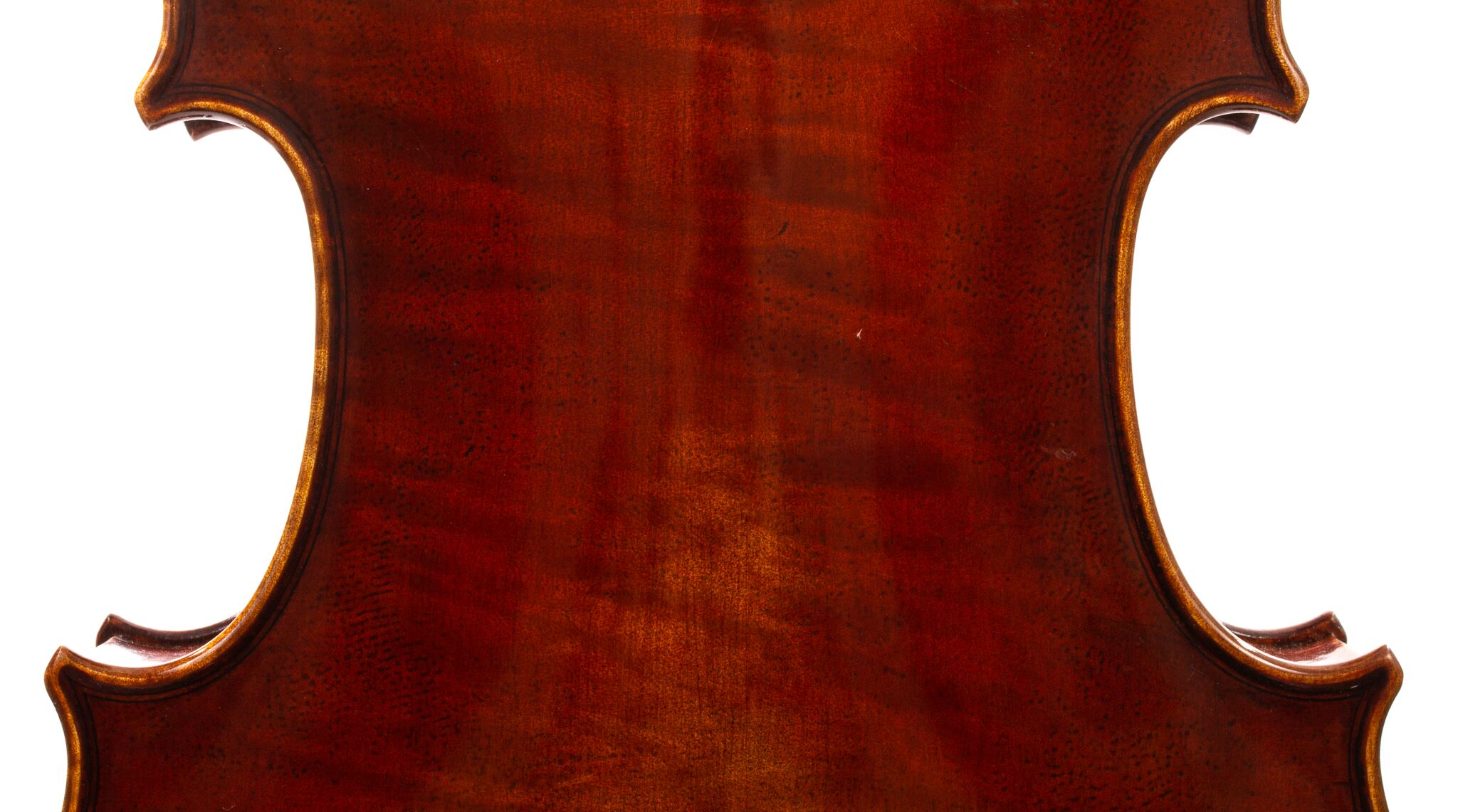 Dolce-Genovese-Viola-04