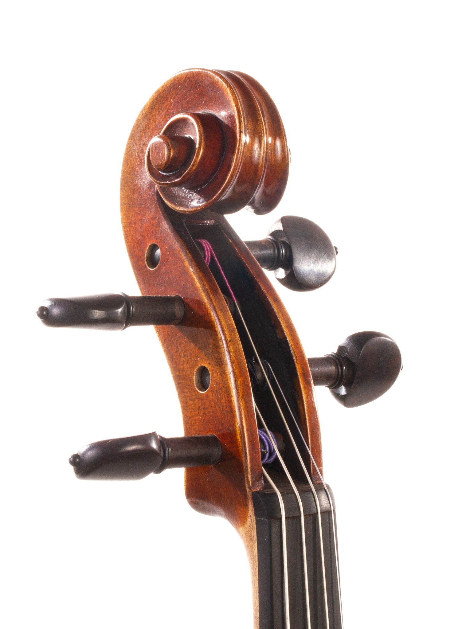 Dolce-Genovese-Viola-10