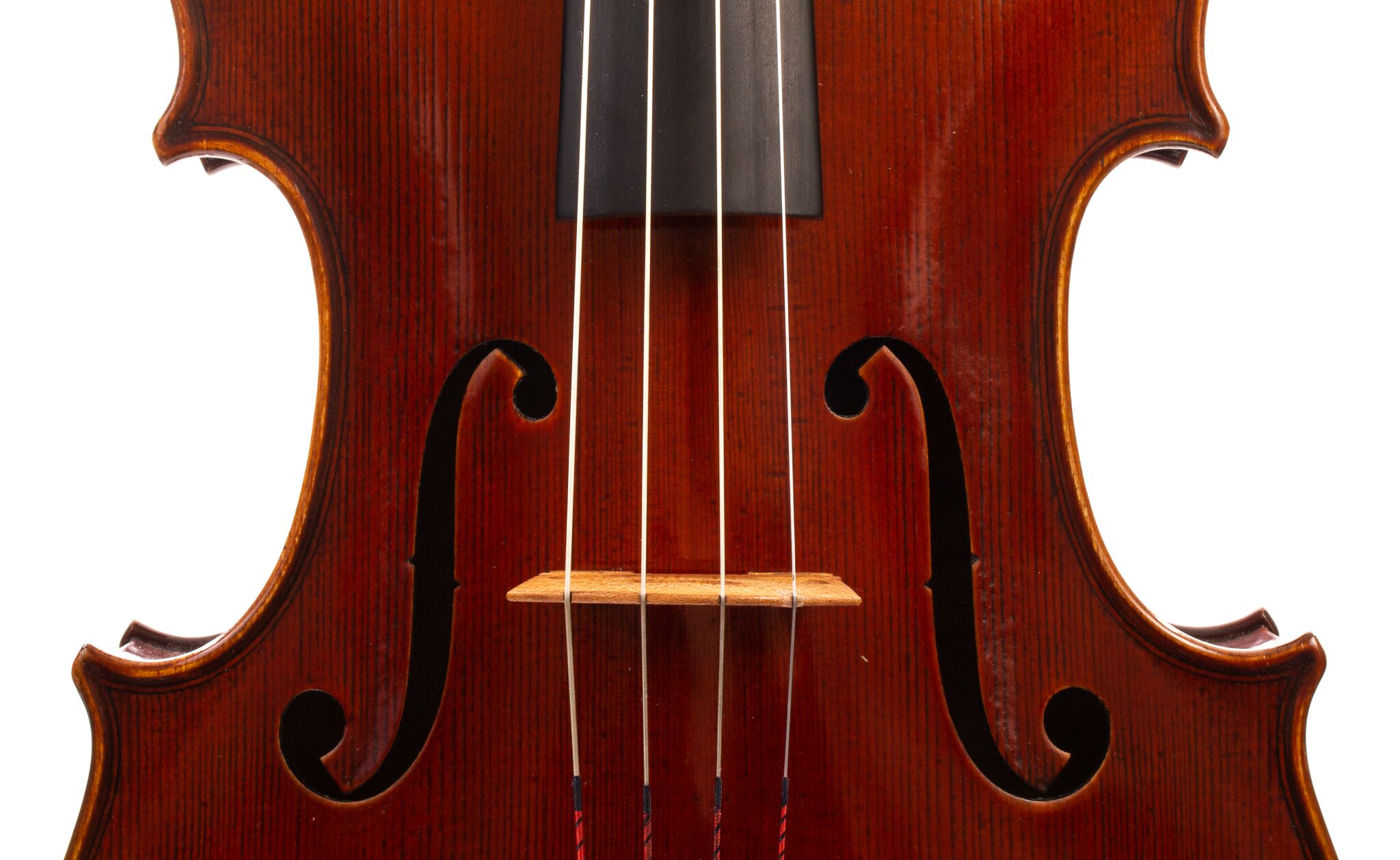 Dolce-Genovese-Viola-14