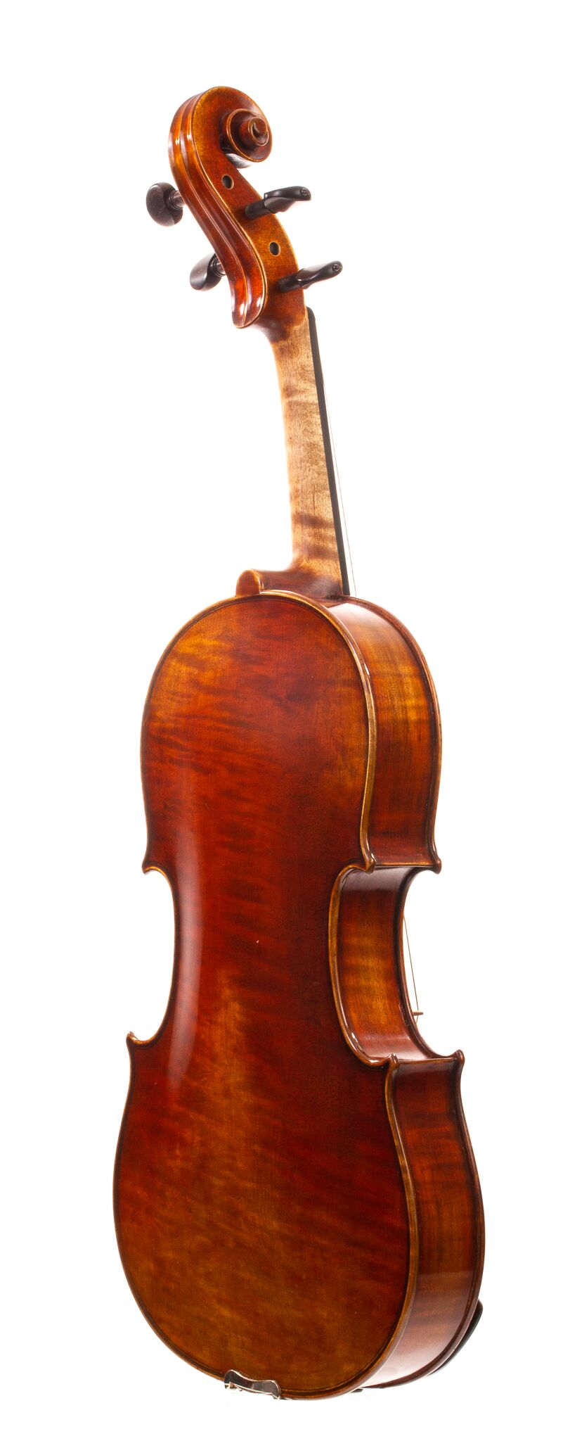 Dolce-Genovese-Viola-2