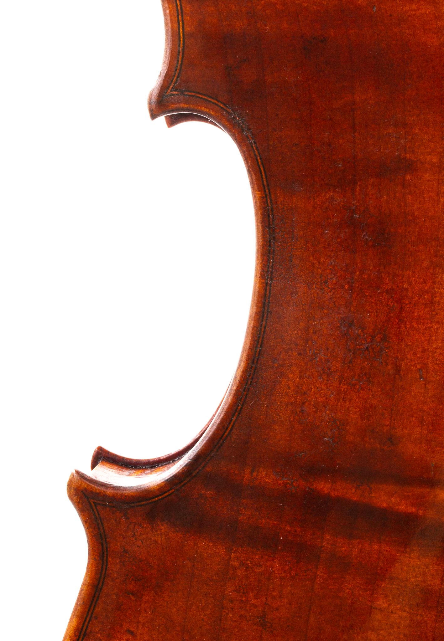 Marinos-Glitsos-Viola-2024-02