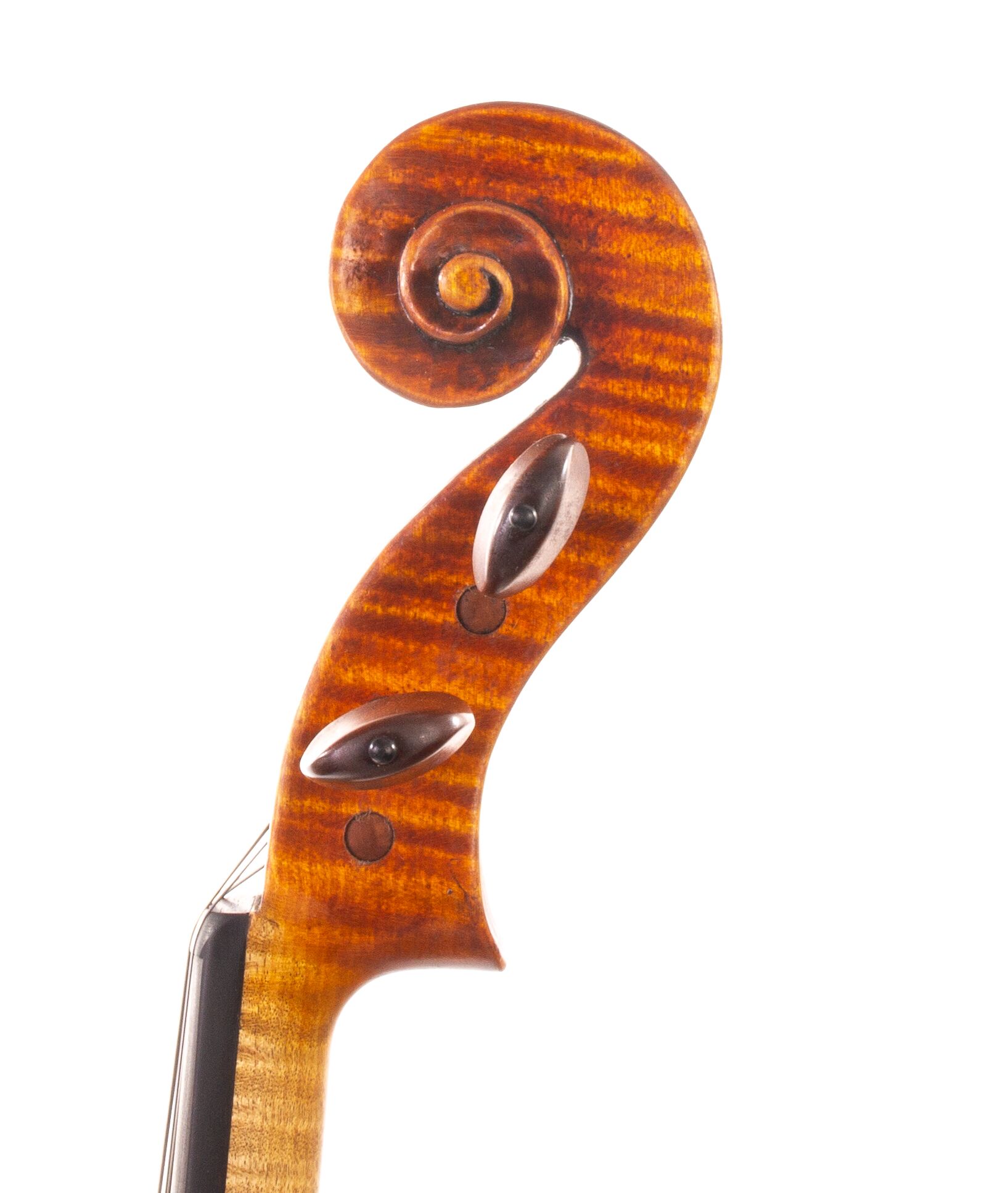 Marinos-Glitsos-Viola-2024-05