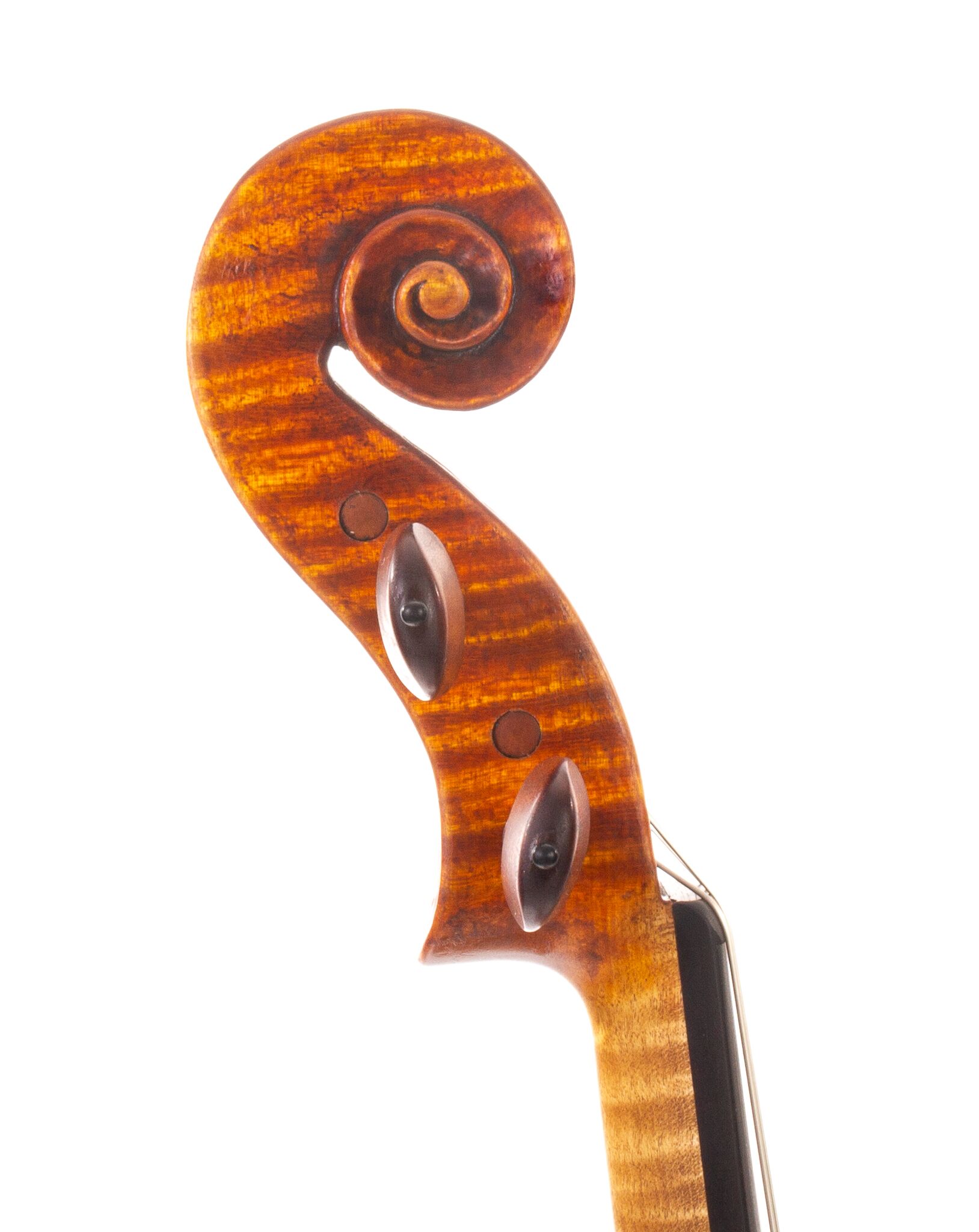 Marinos-Glitsos-Viola-2024-08