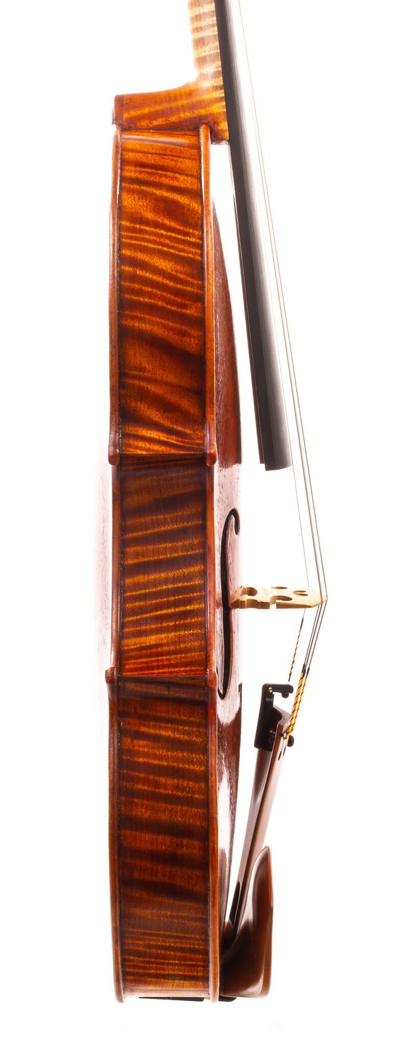 Marinos-Glitsos-Viola-2024-09