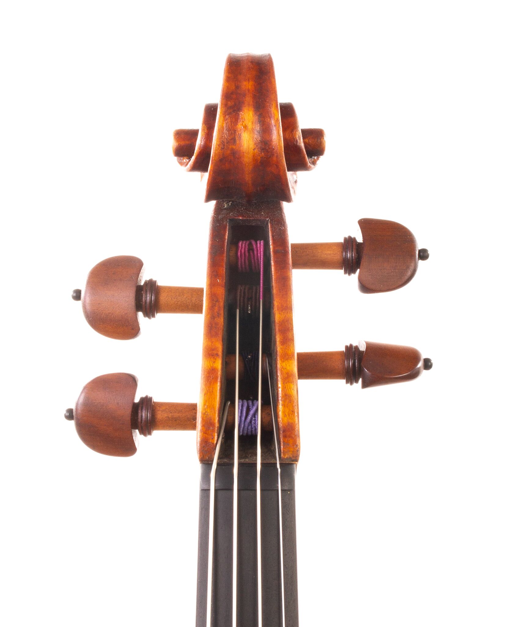 Marinos-Glitsos-Viola-2024-12