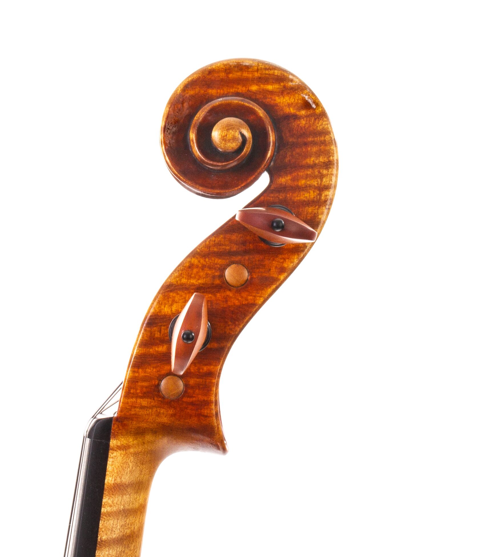 Peter-Bingen-Viola-2024-01