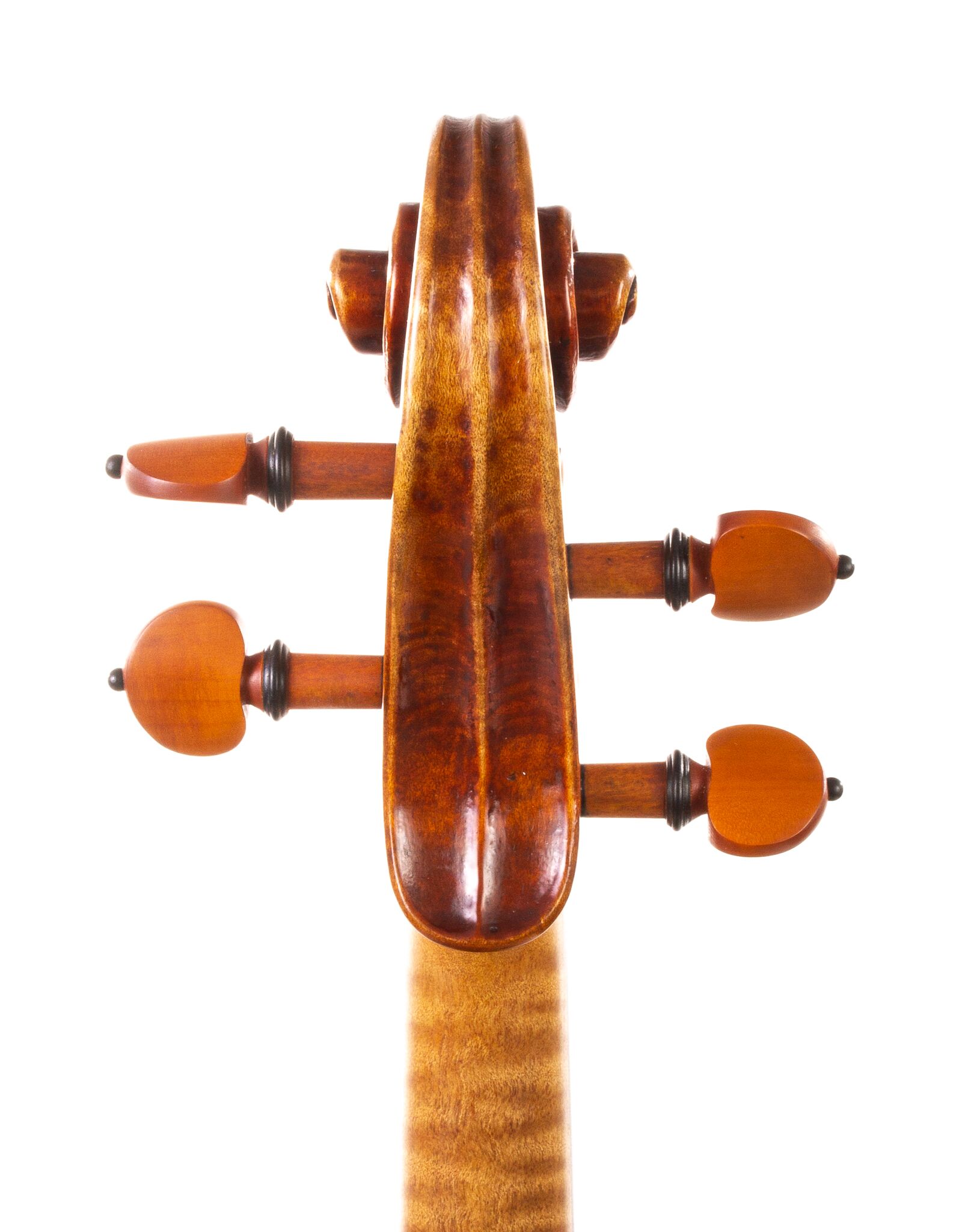 Peter-Bingen-Viola-2024-02