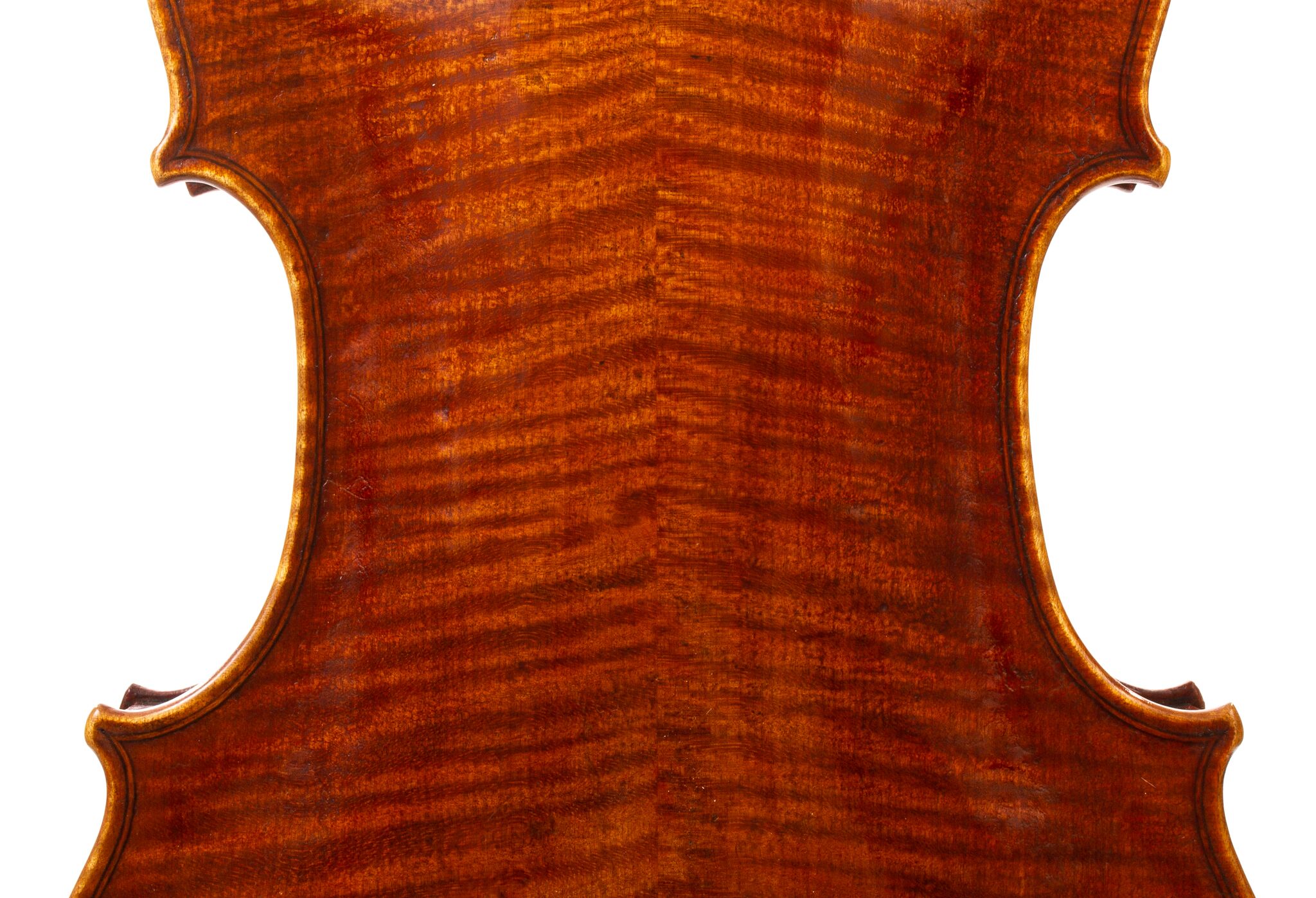 Peter-Bingen-Viola-2024-04