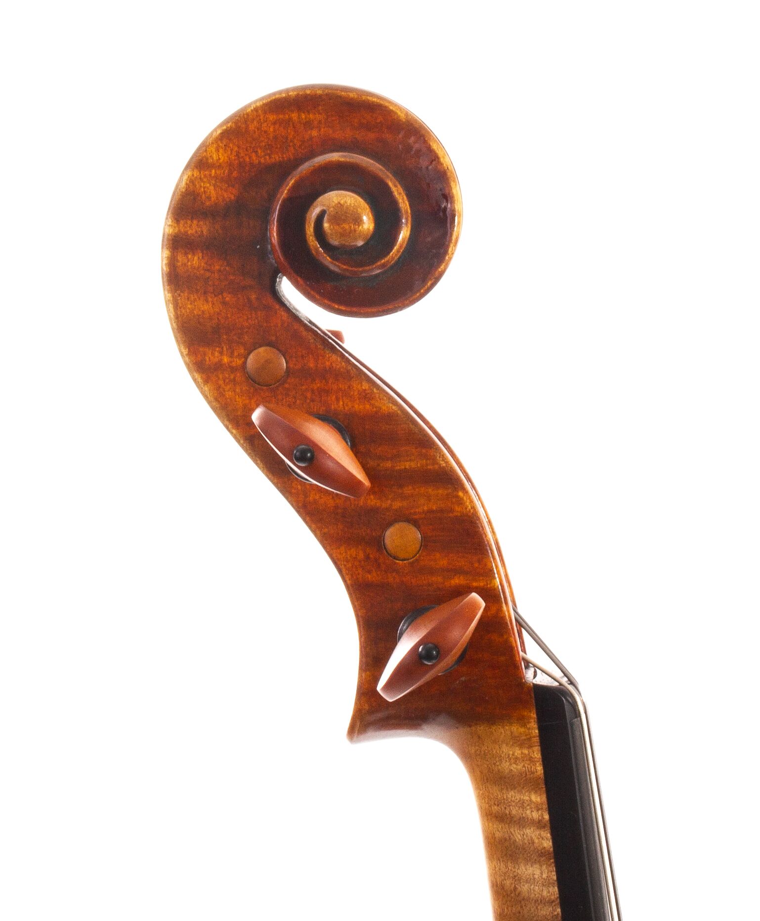 Peter-Bingen-Viola-2024-08