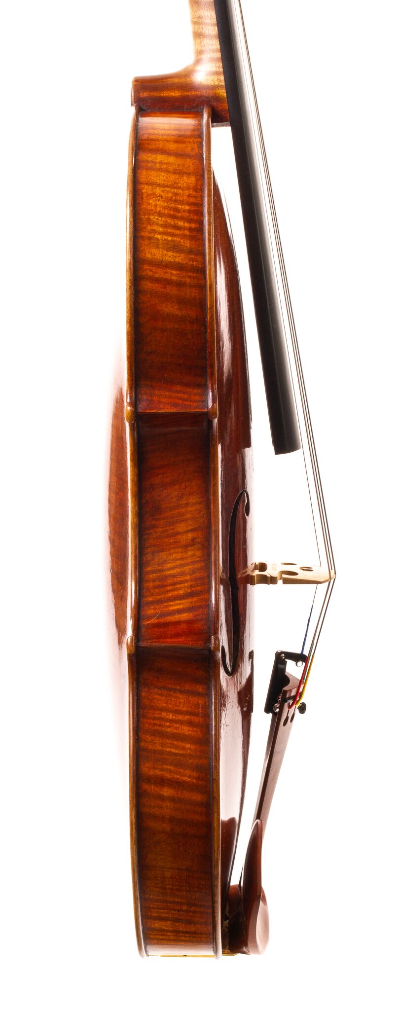 Peter-Bingen-Viola-2024-09