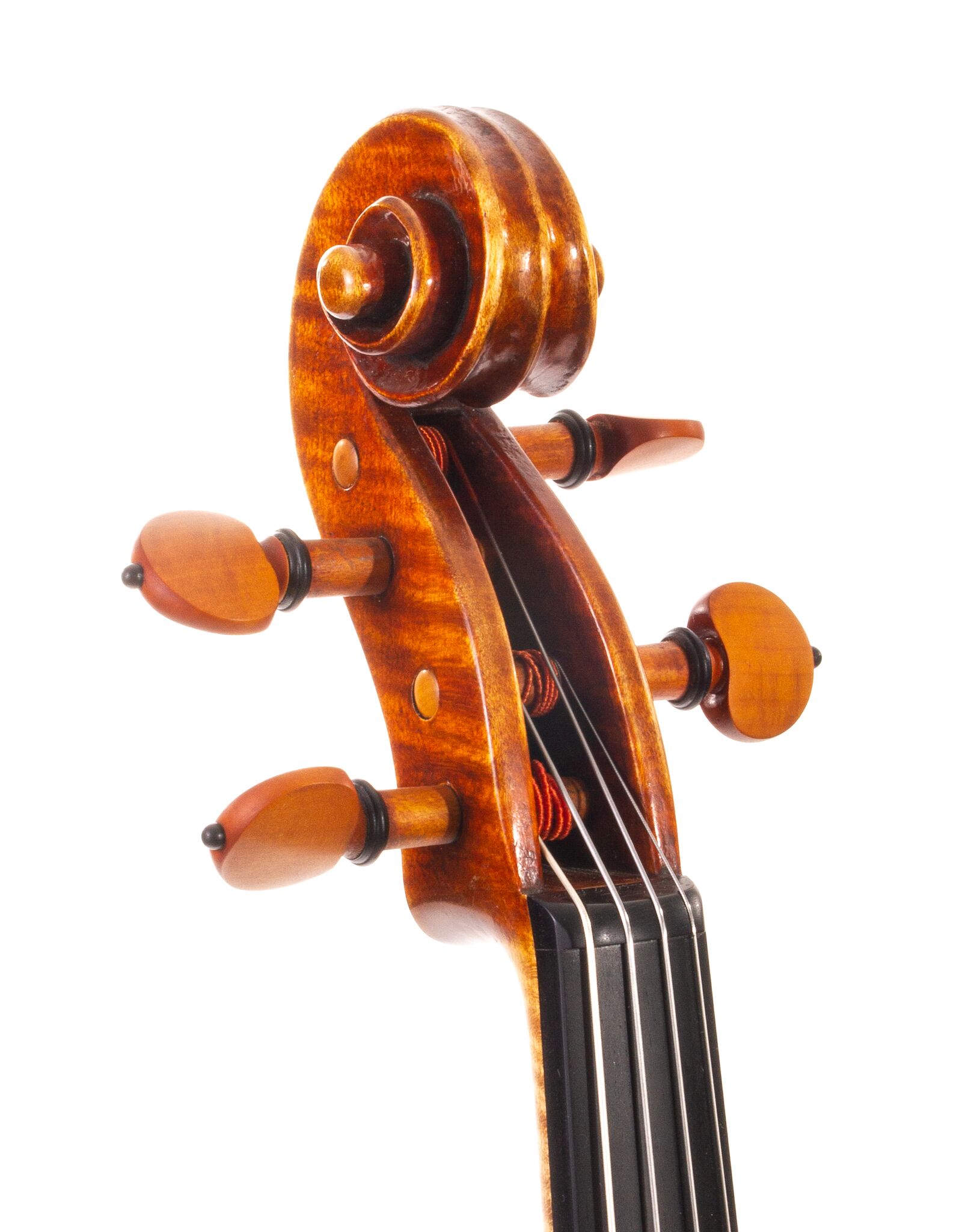 Peter-Bingen-Viola-2024-10