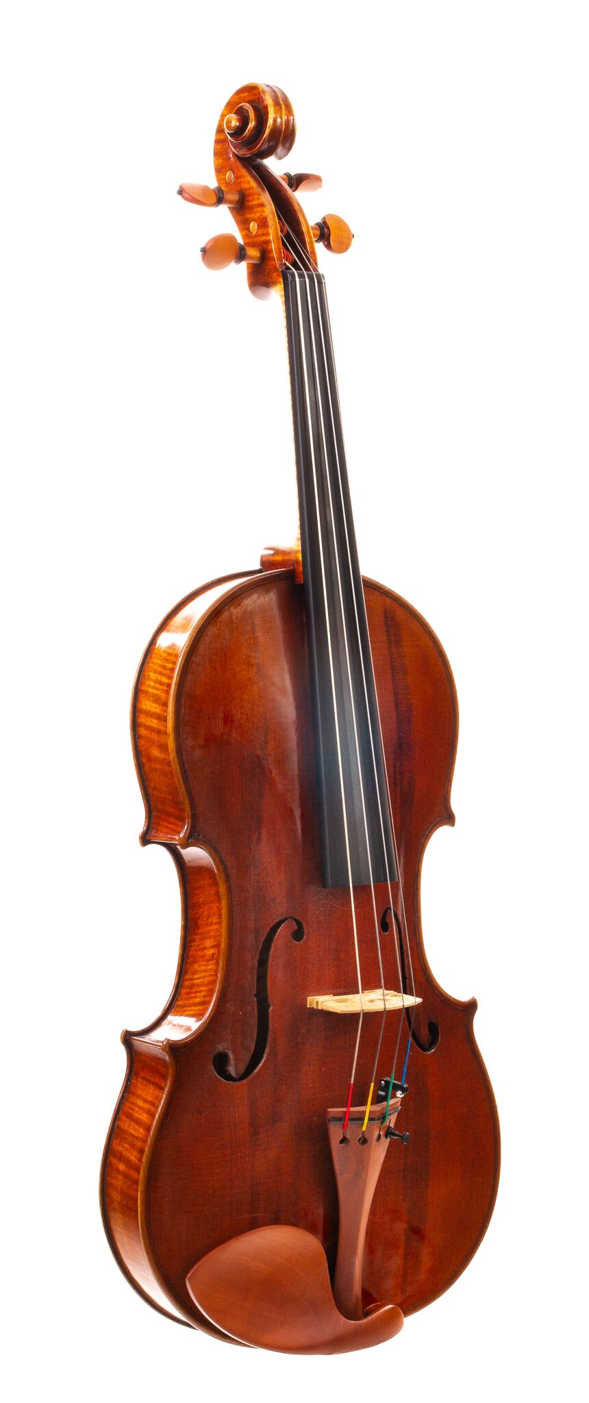Peter-Bingen-Viola-2024-2