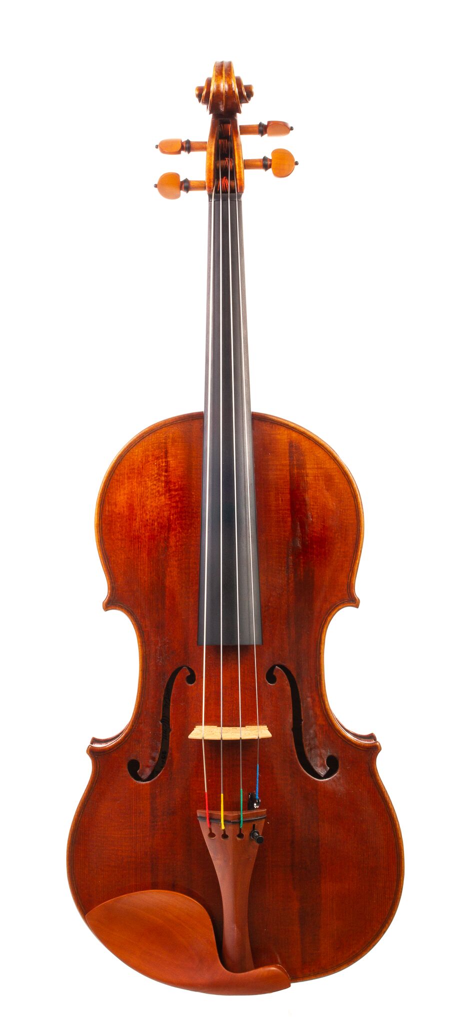Peter-Bingen-Viola-2024-3