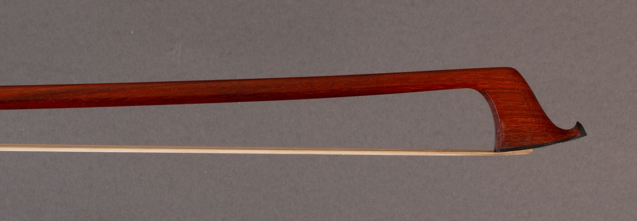 Z Rodrigue bow 12_24-3