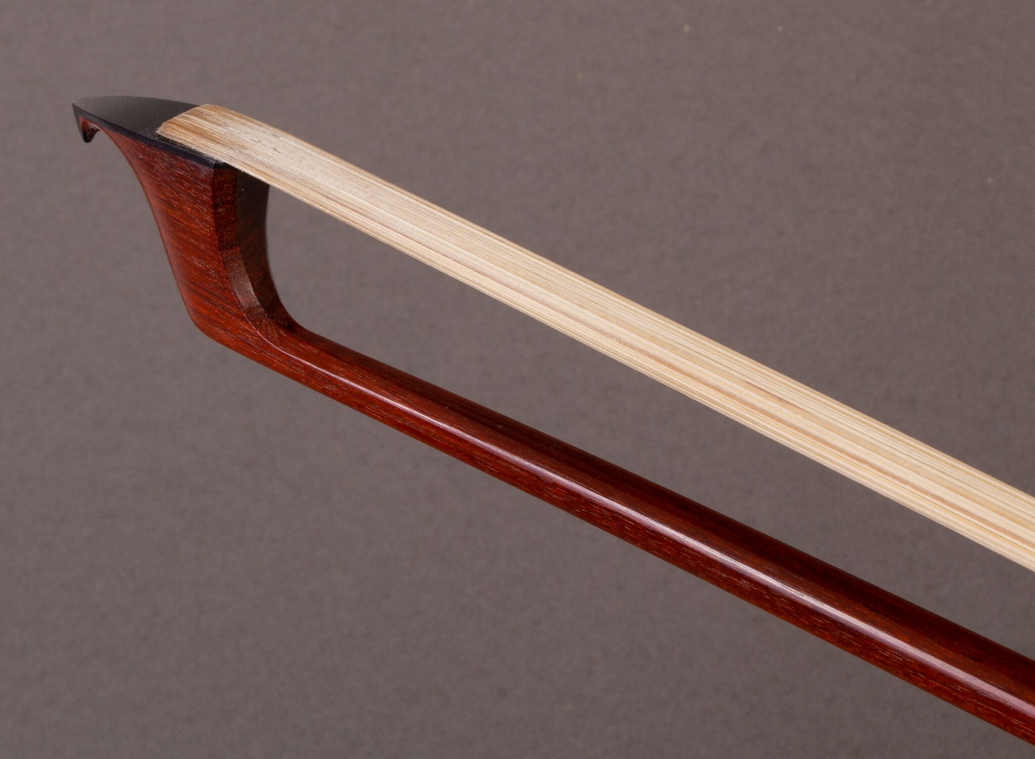 Z Rodrigue bow 12_24