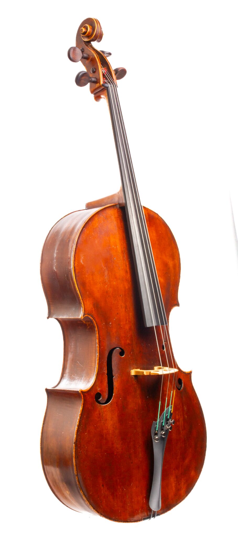 cello backDSC_0016_eec89a17-609f-