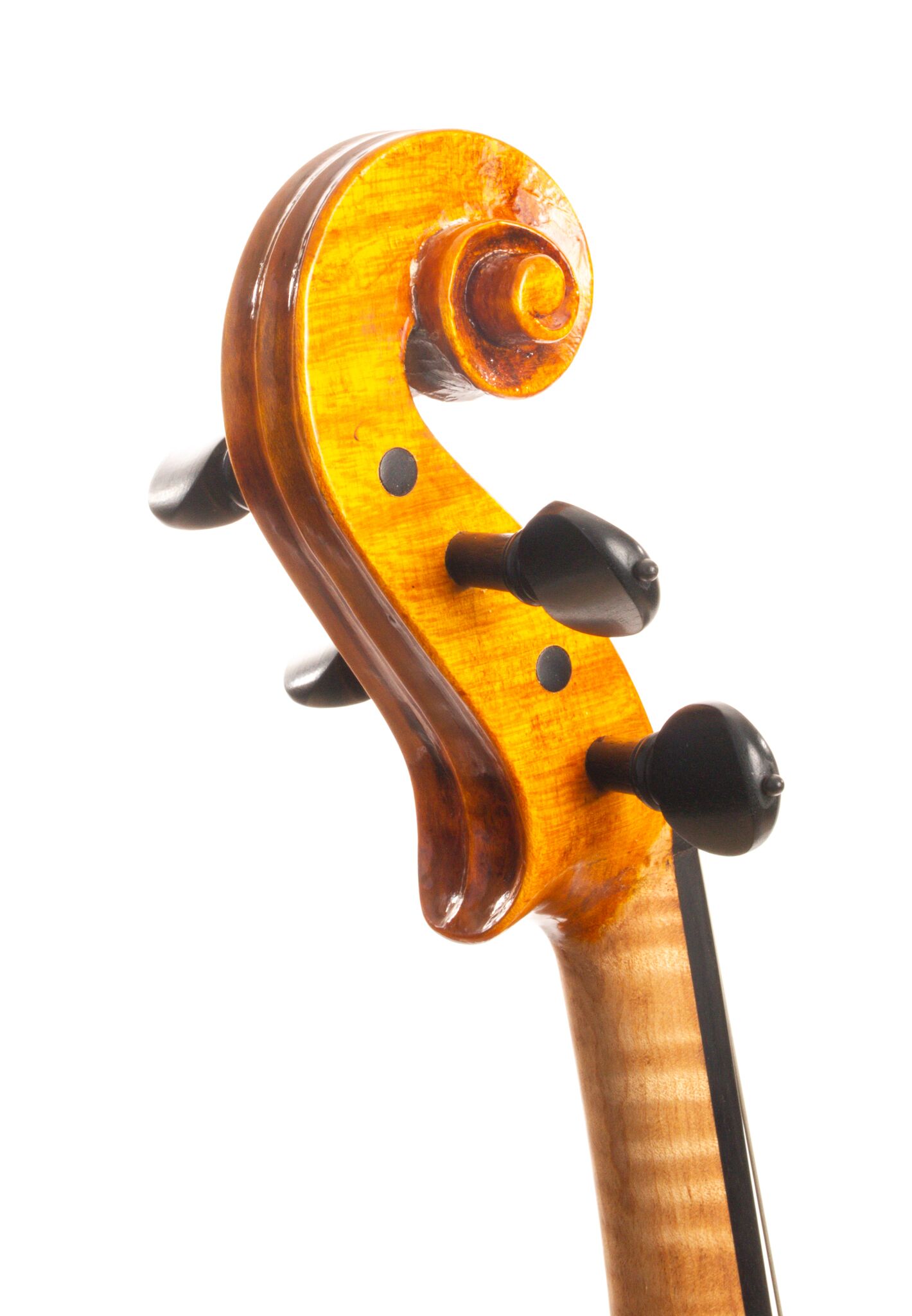 William Bartruff VIOLA 2023-02