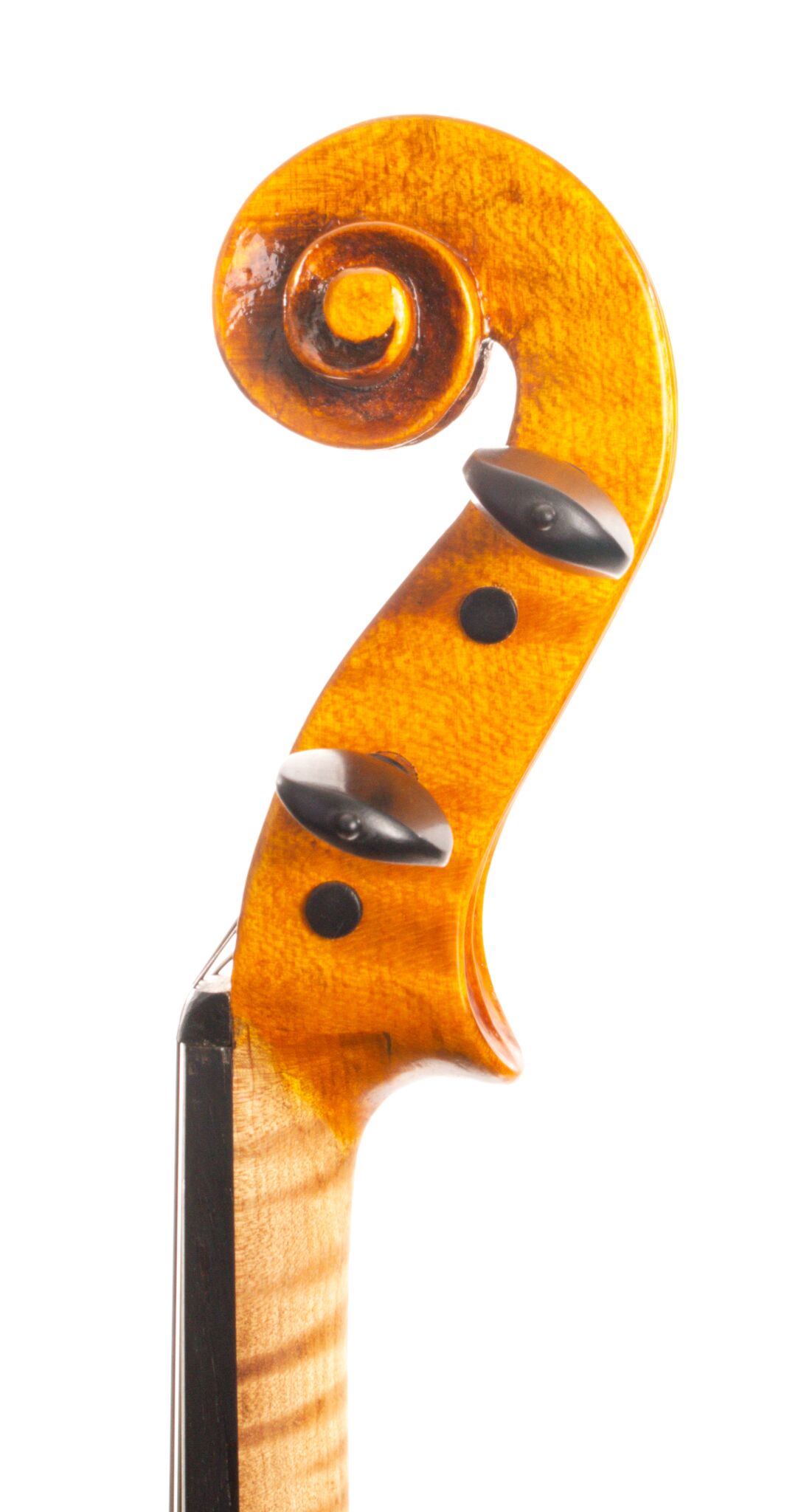 William Bartruff VIOLA 2023-05