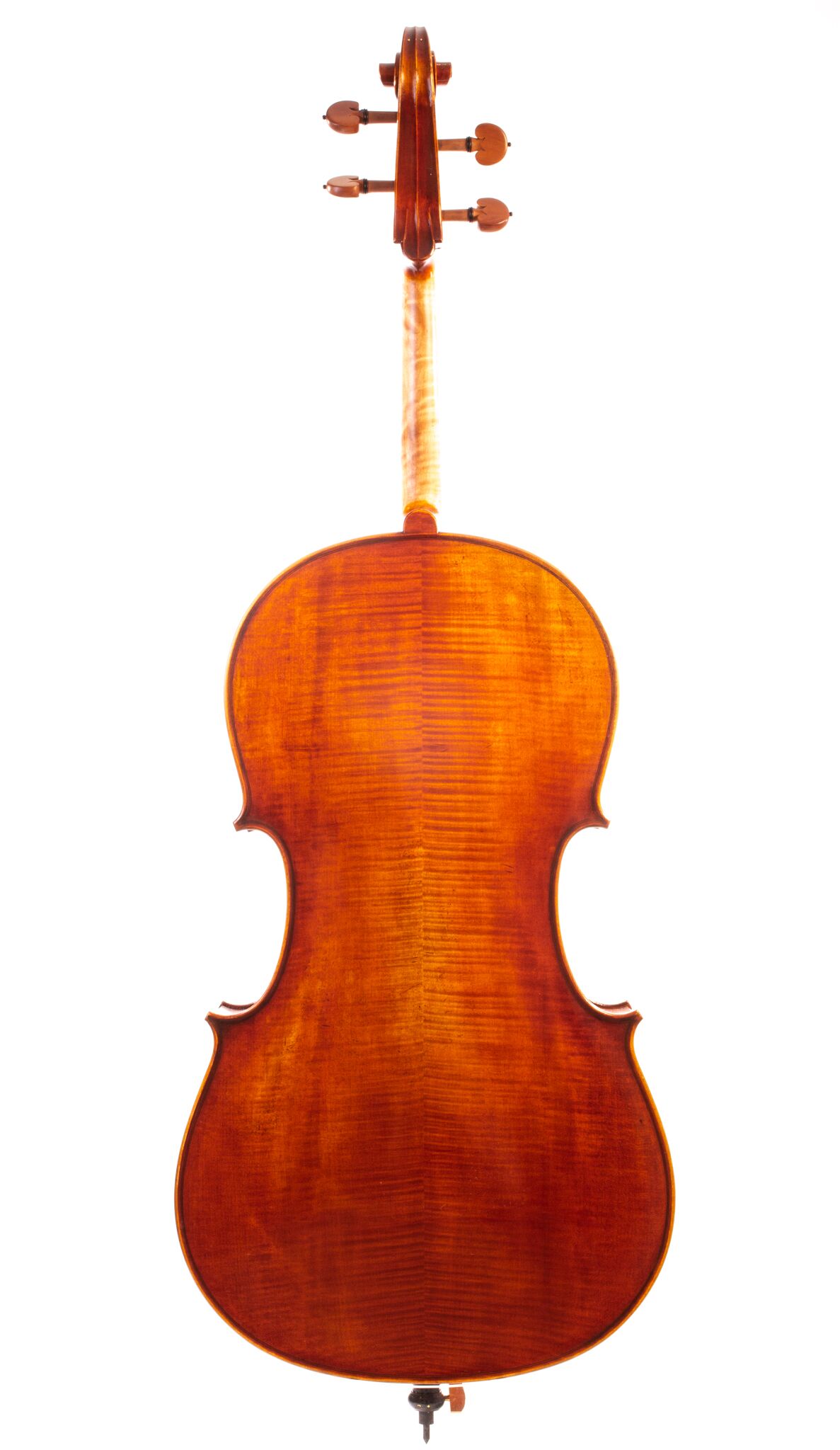 eastman-pietro-lombardi-cello-2