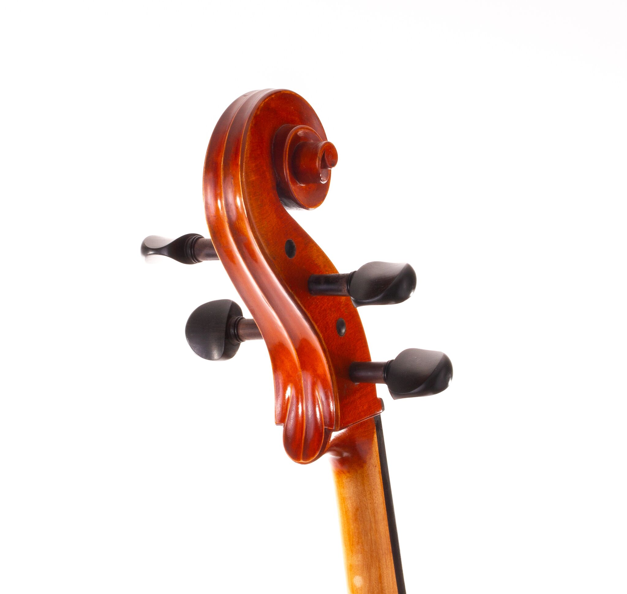 eastman-albert-nebel-cello-05