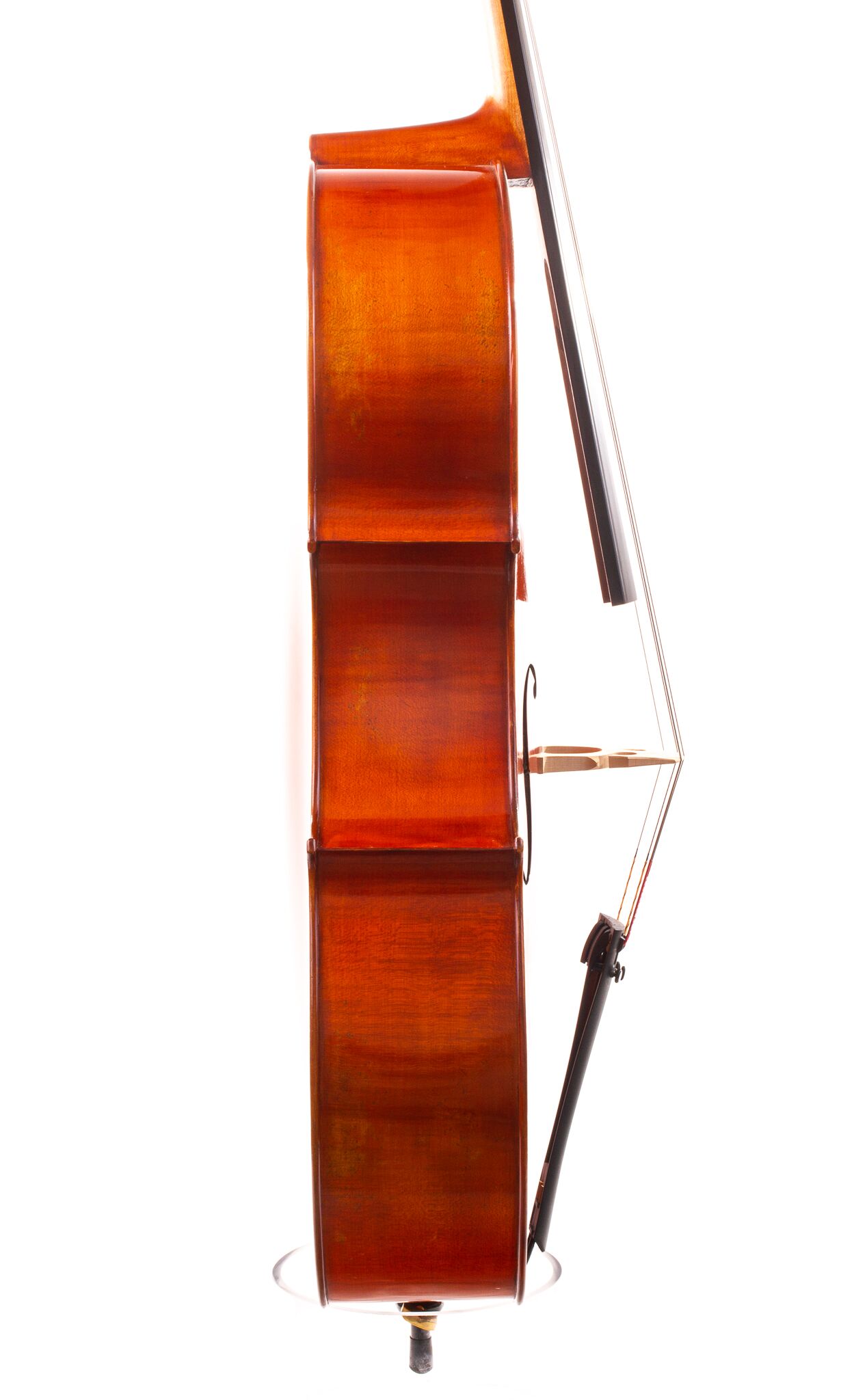 eastman-albert-nebel-cello-07