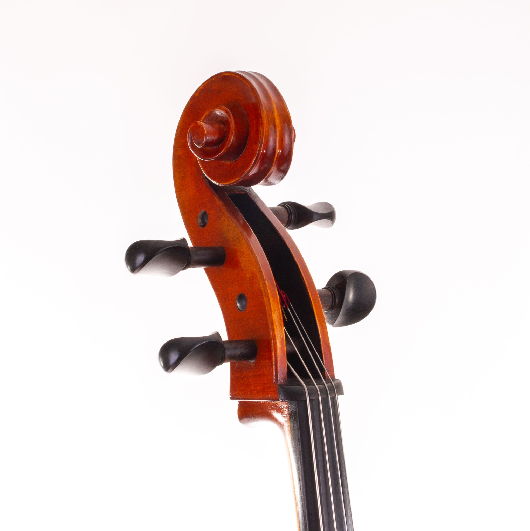 eastman-albert-nebel-cello-08