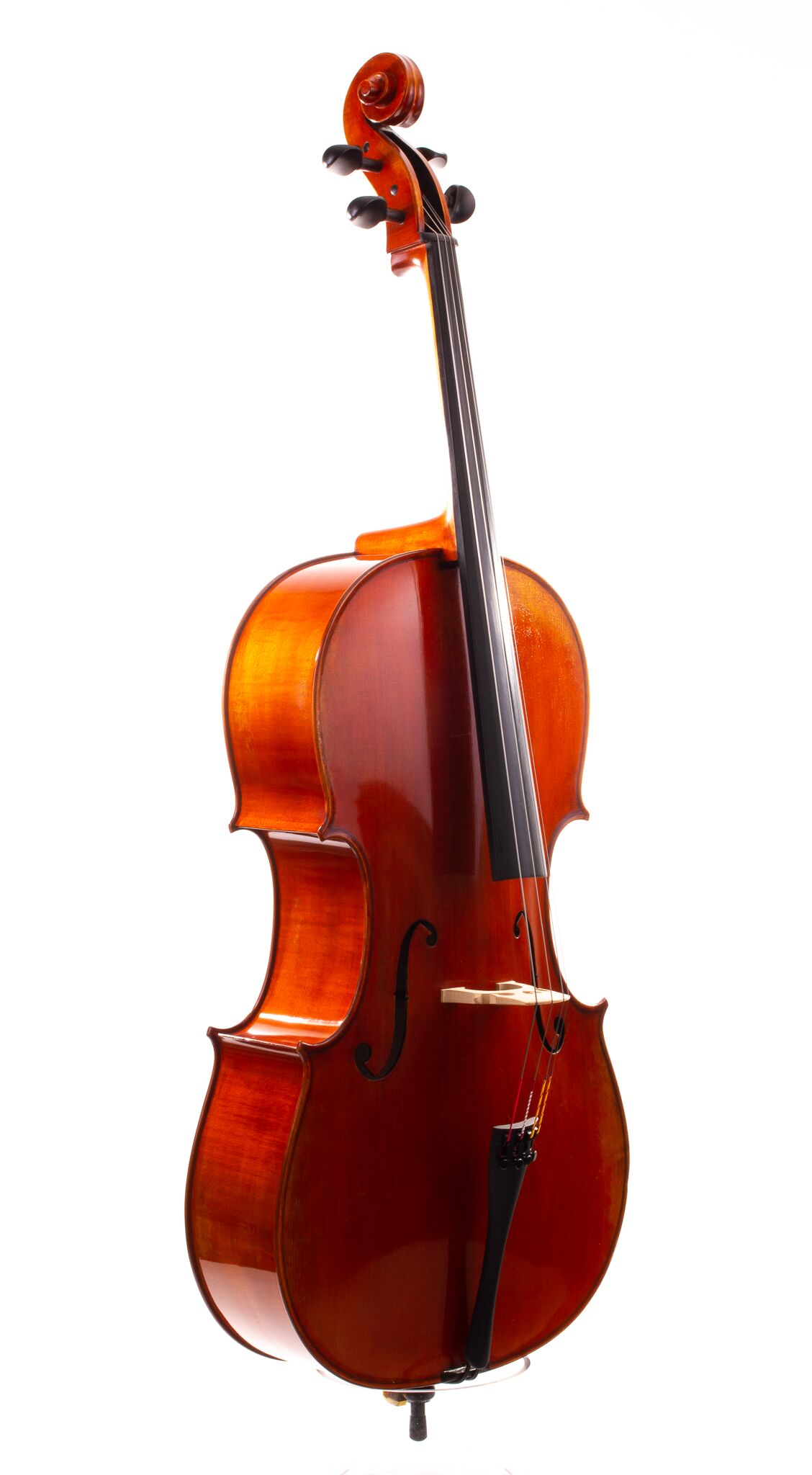 eastman-albert-nebel-cello-7