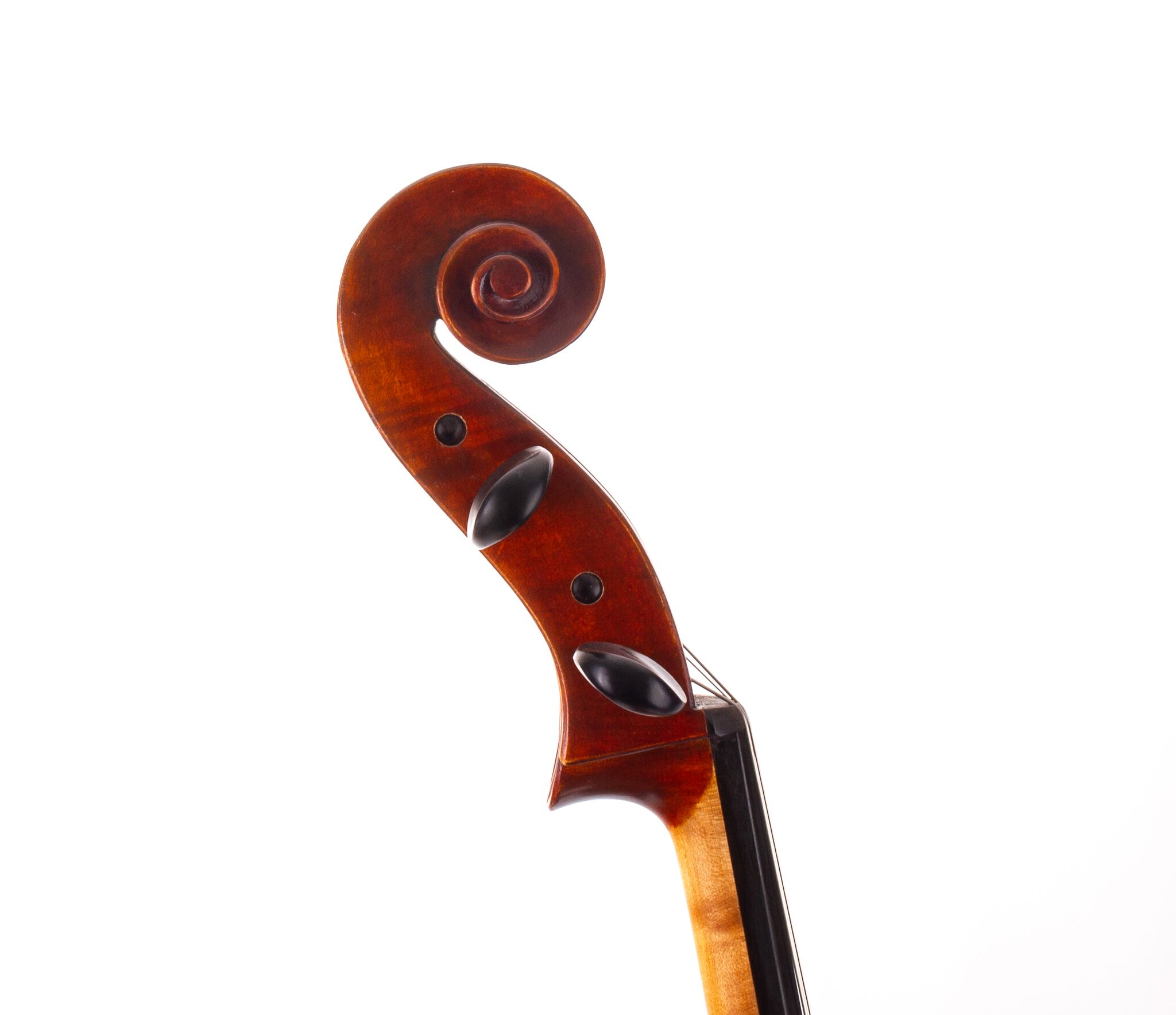eastman-doetsch-701-cello-02