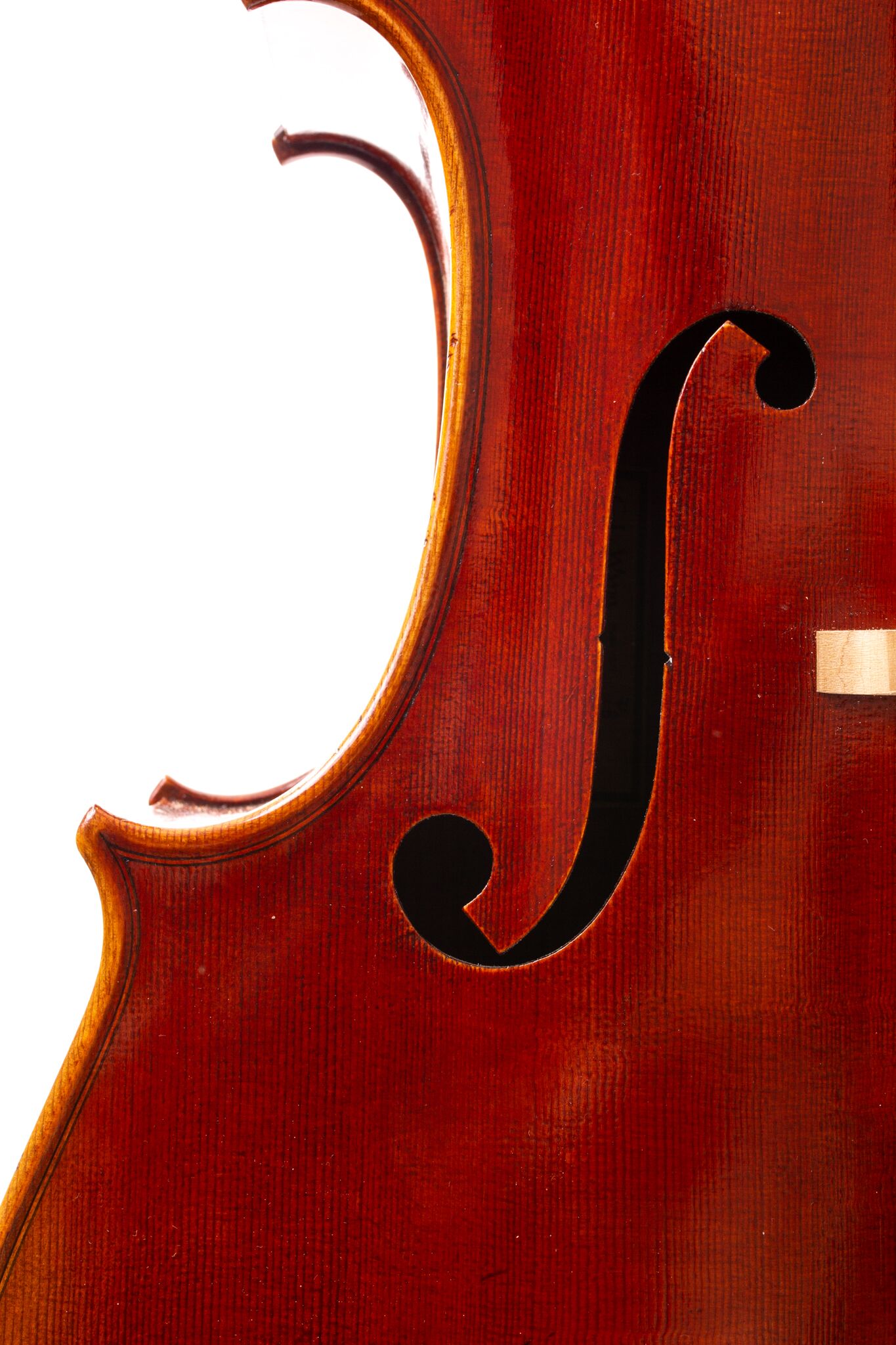 cl-wynn-7-8-model-620-cello-3
