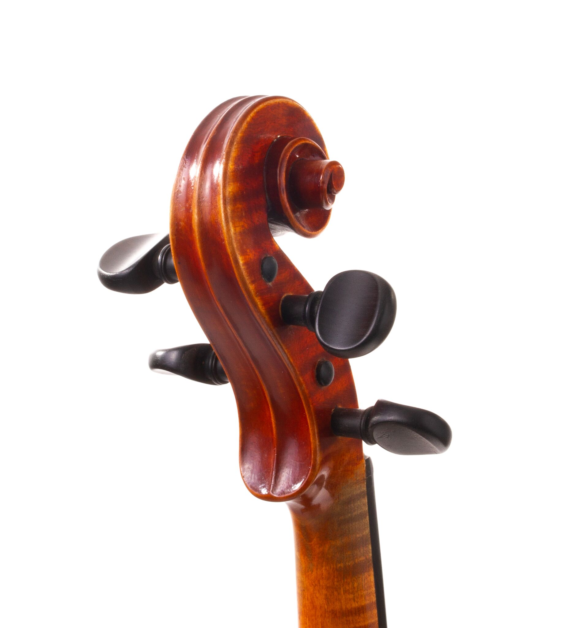 albert-knorr-violin-06