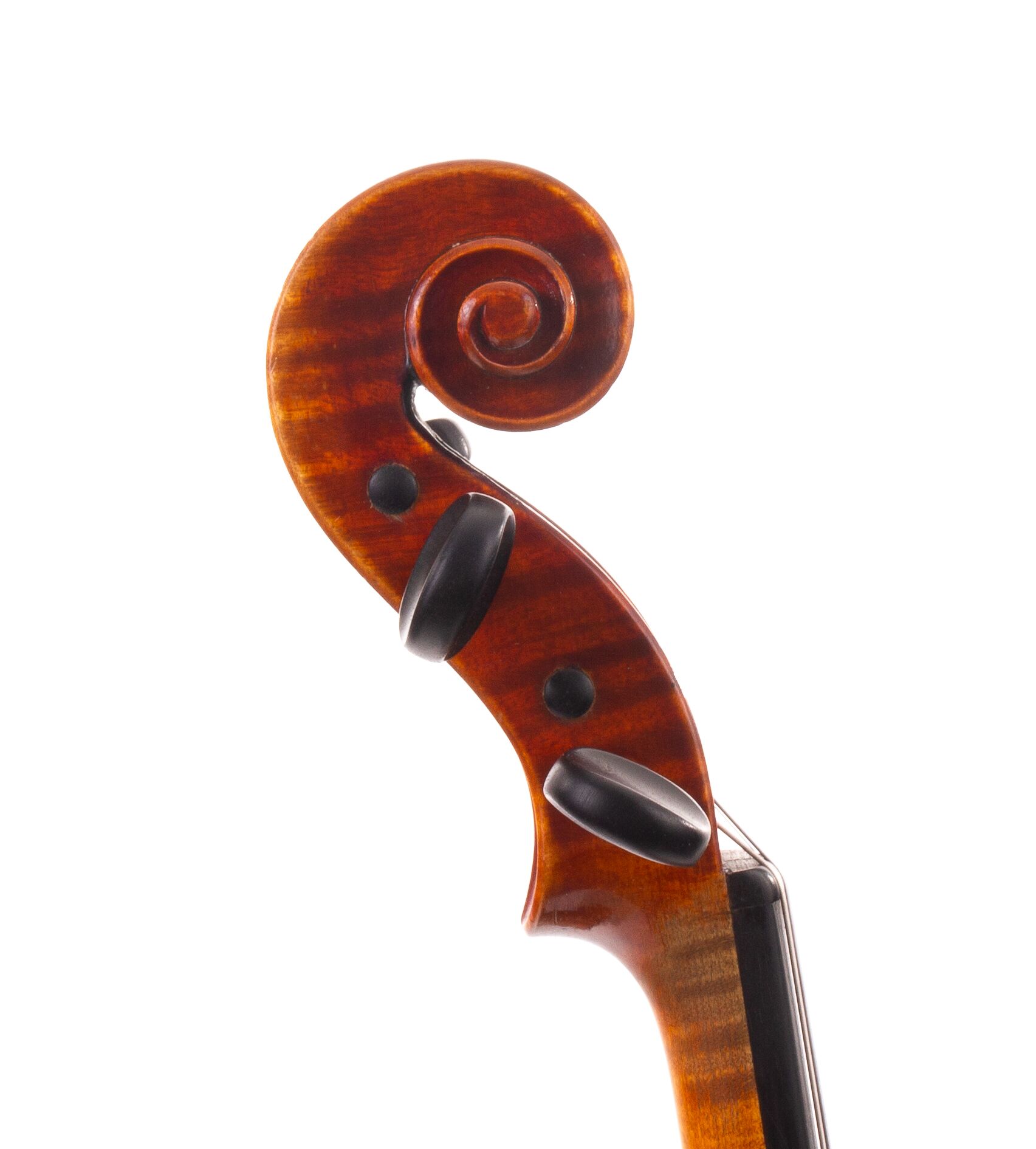 albert-knorr-violin-07