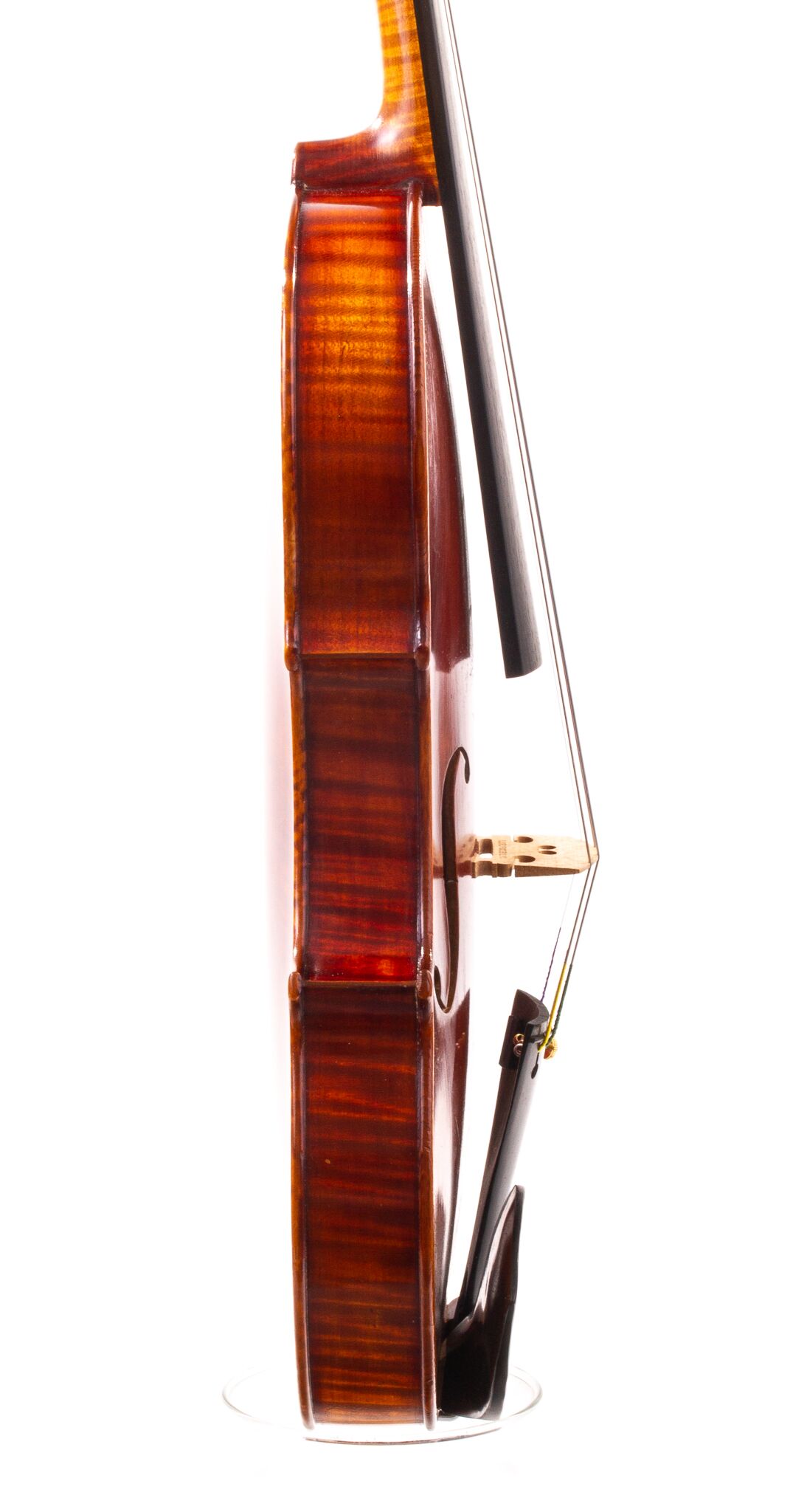 albert-knorr-violin-08