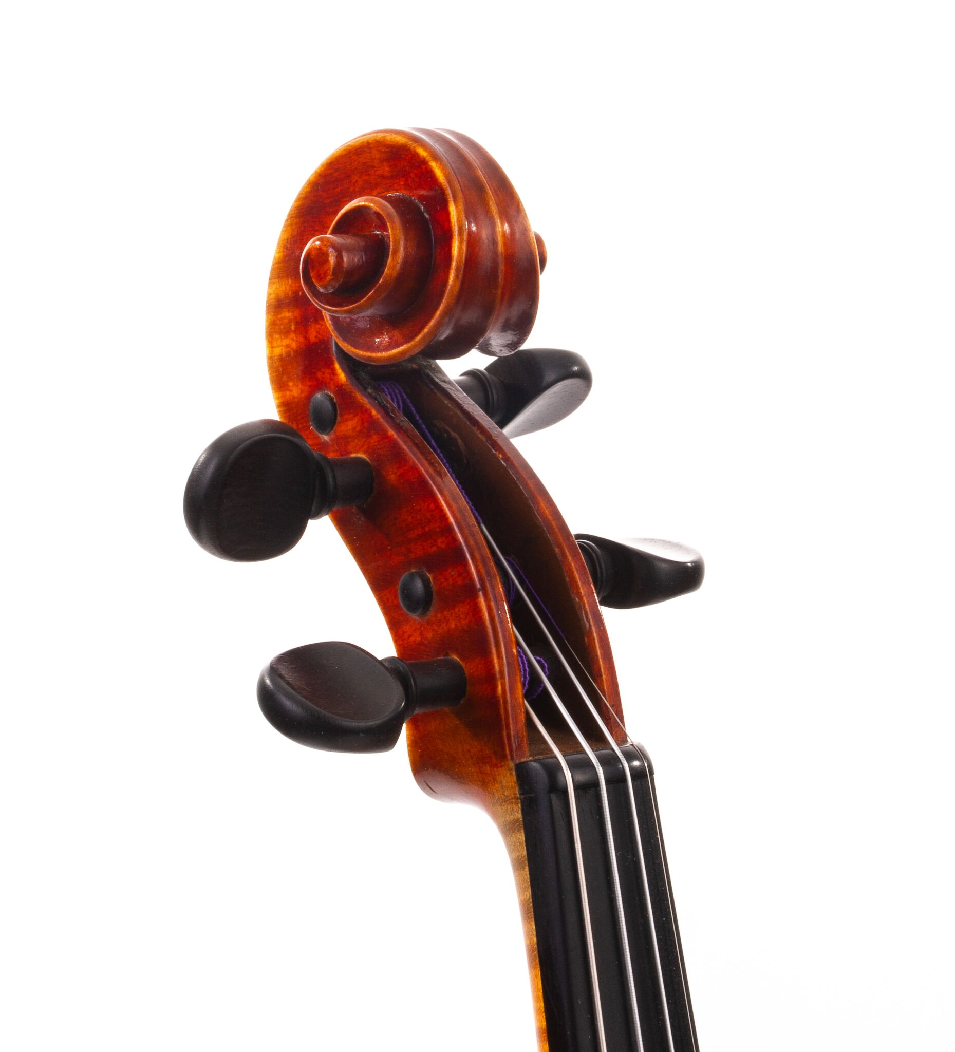 albert-knorr-violin-09