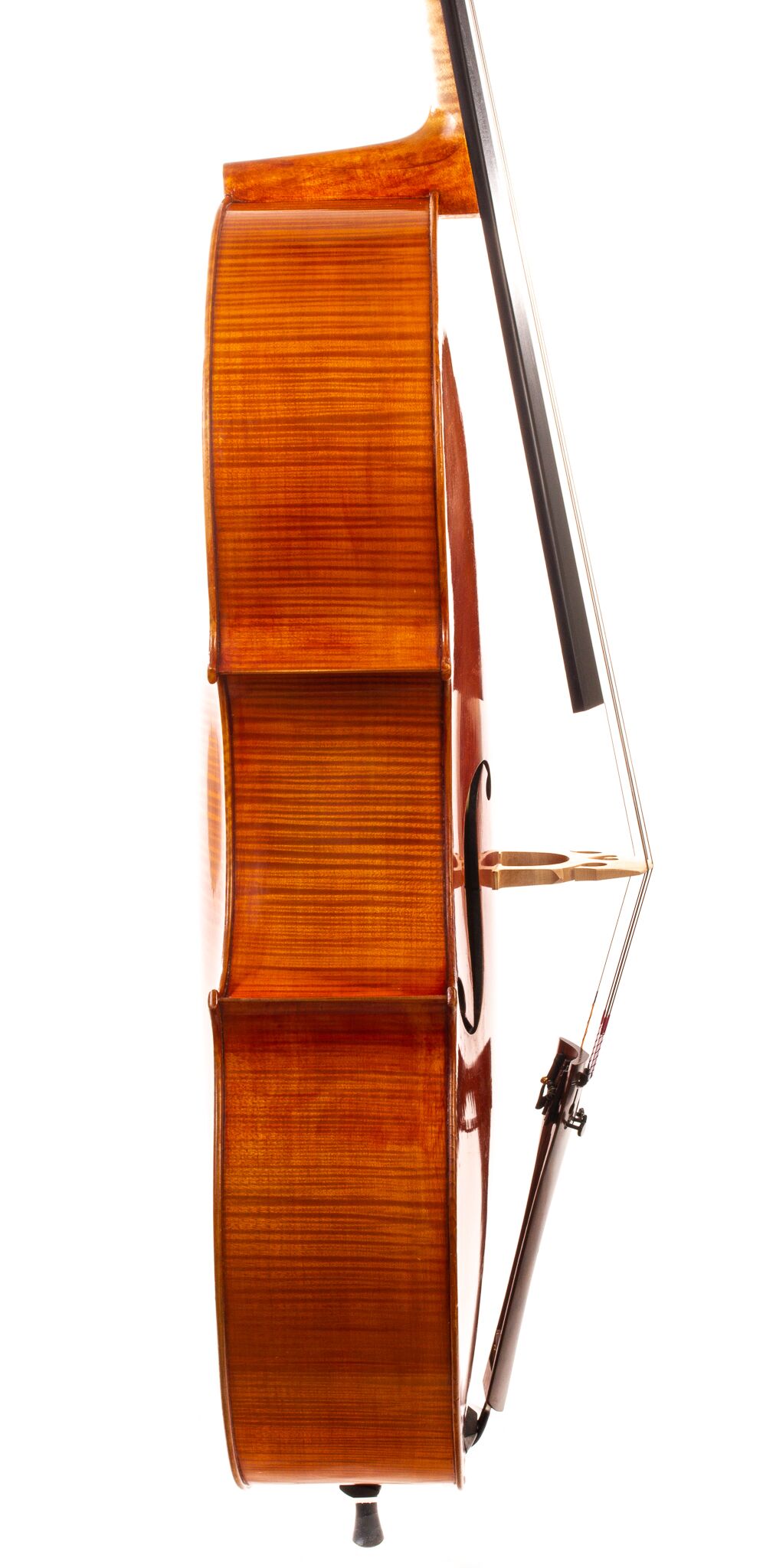 paul-hilaire-cello-08