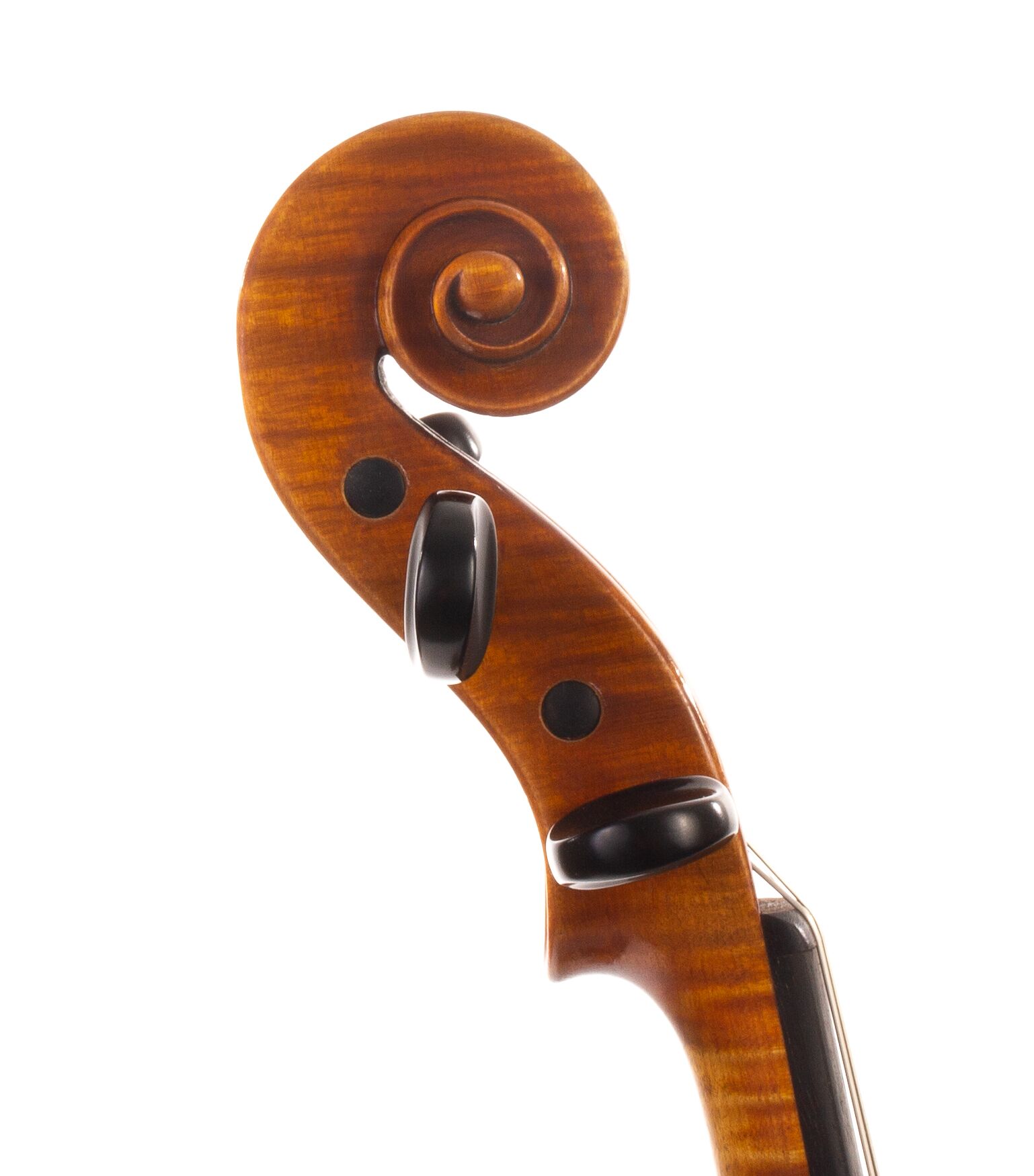 bruno-franz-paulus-violin-08