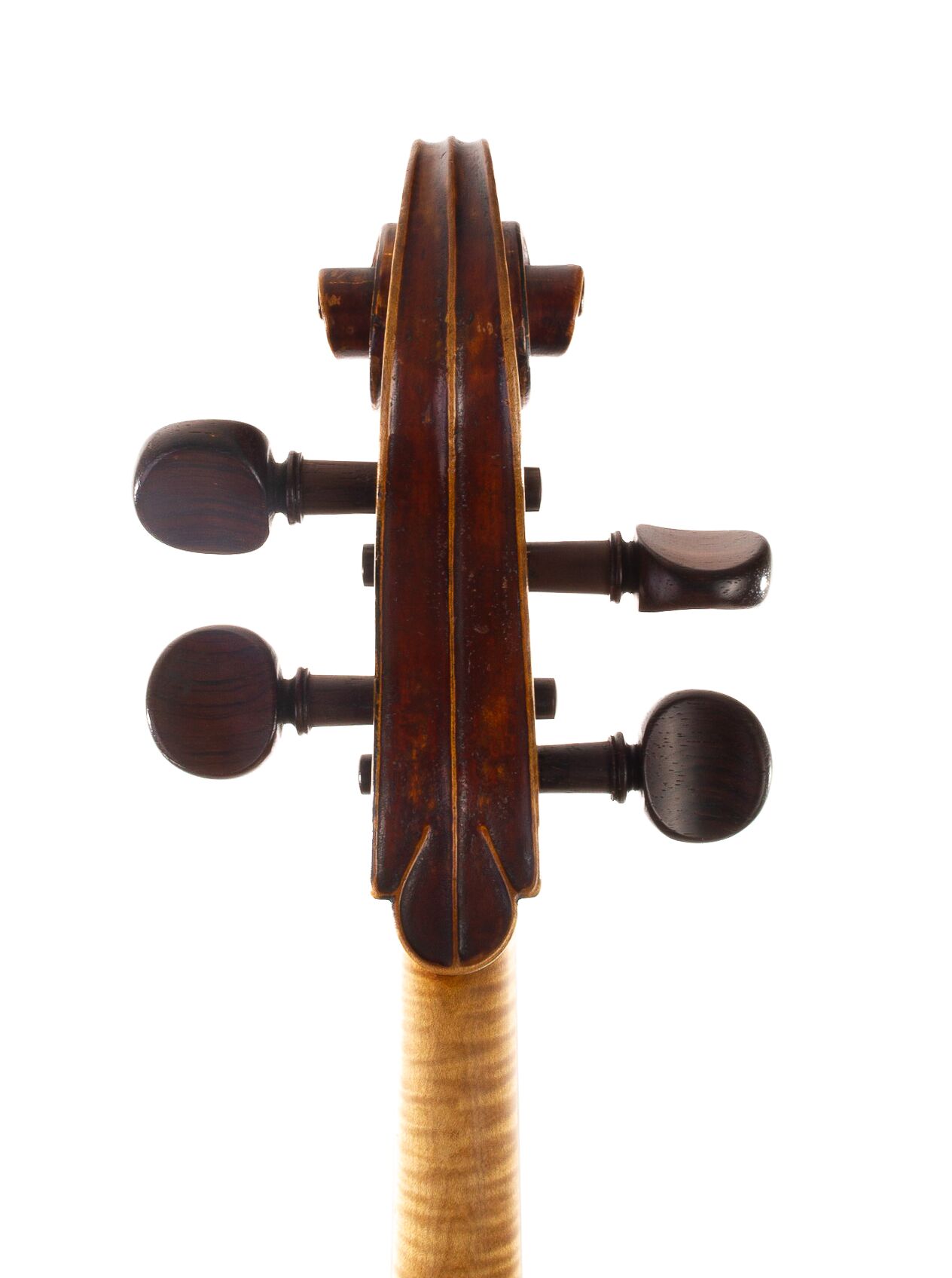 Mougenot-Cello-08