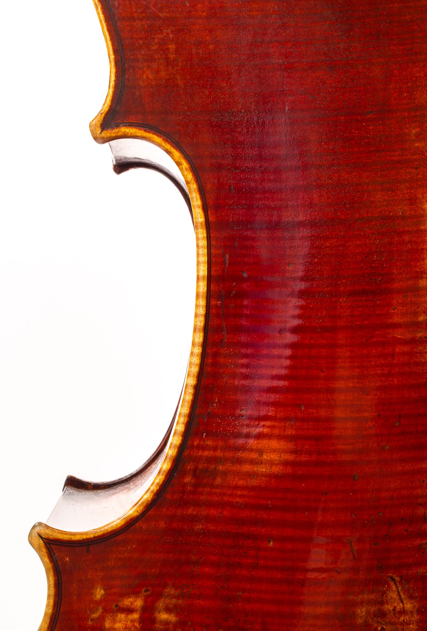 Mougenot-Cello-1