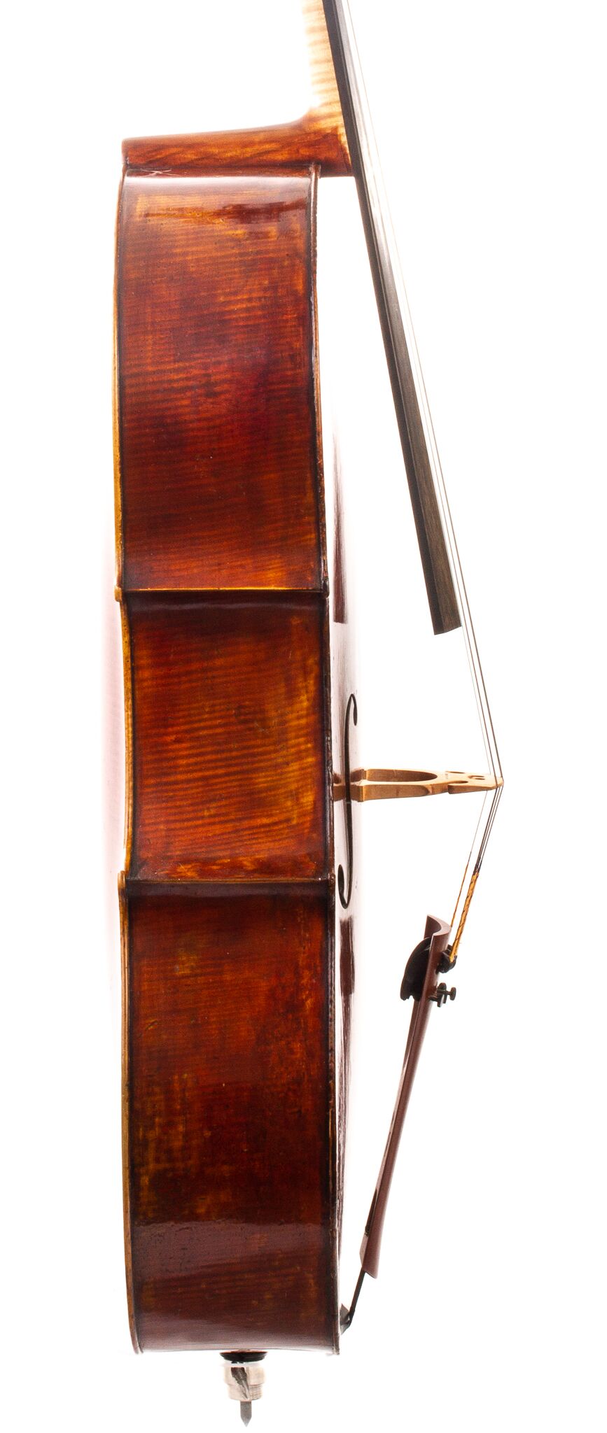 Mougenot-Cello-2