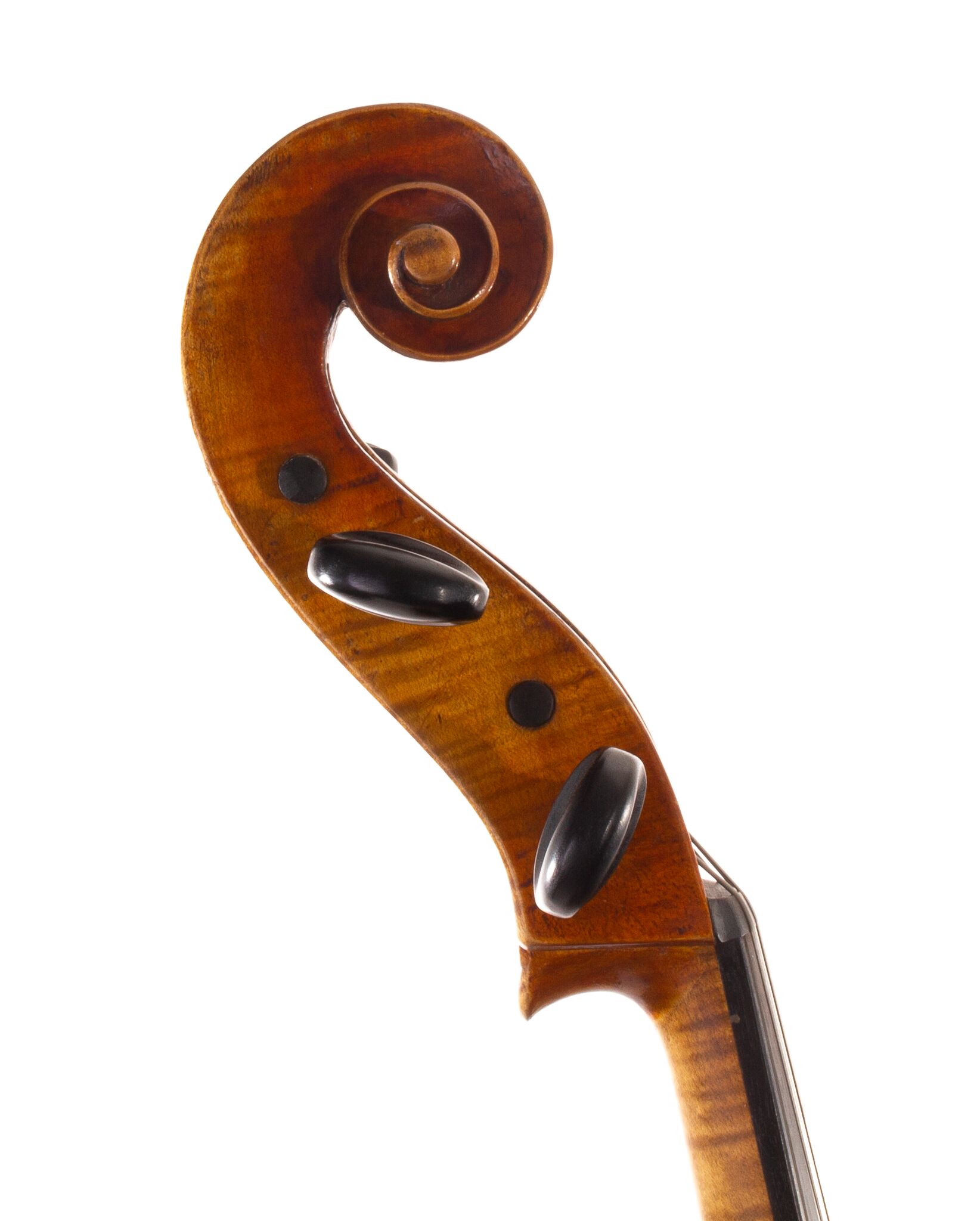 unlabeled-german-cello-04