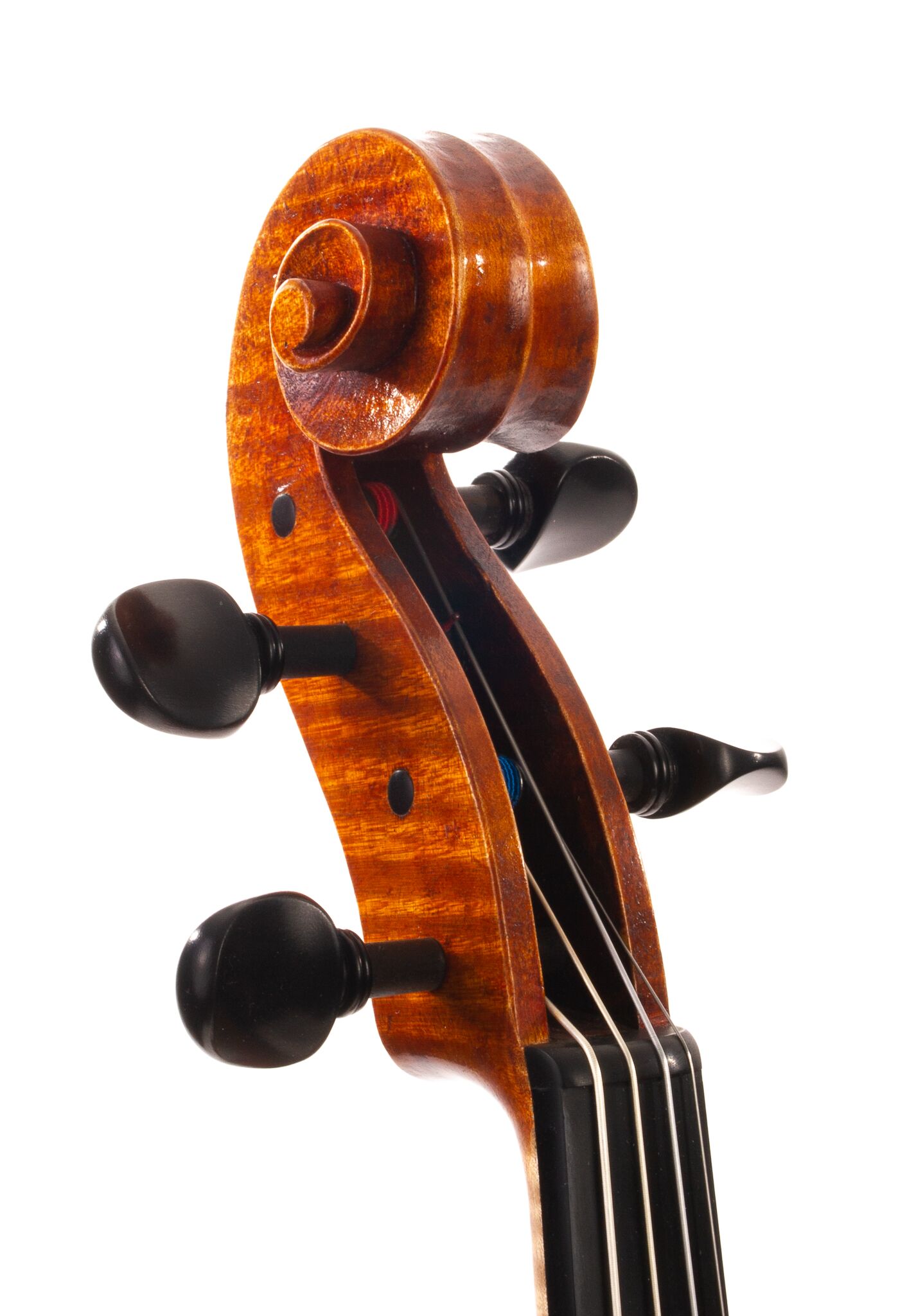 Julia-Felix-Viola-2023-10