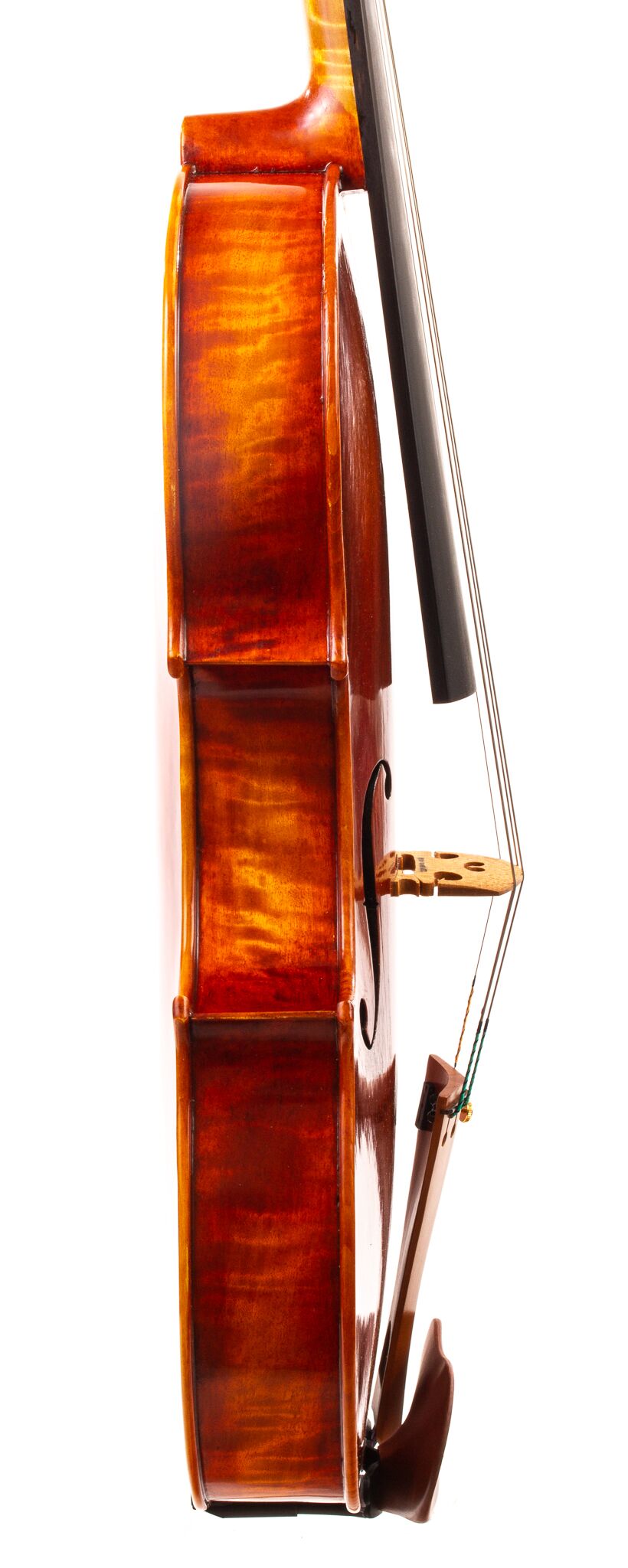 Erich-Schweiger-Viola-2023-03