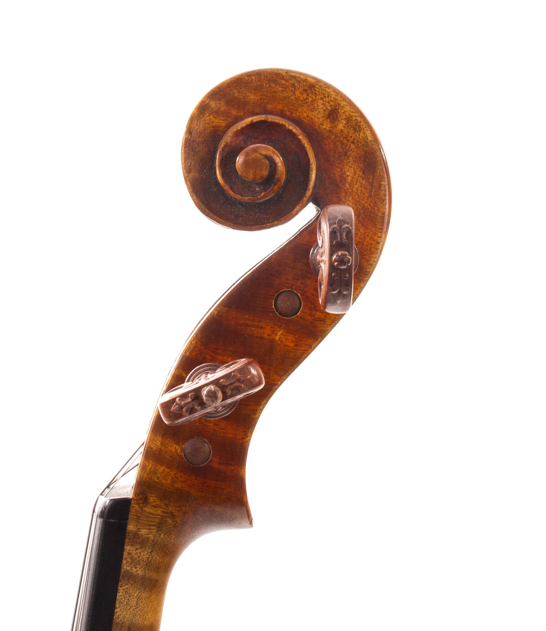 Douglas-Cox-Violin-2015-01