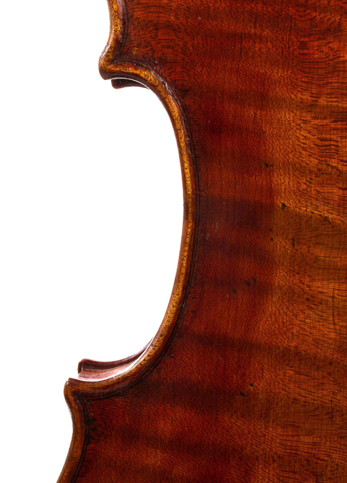 Douglas-Cox-Violin-2015-03