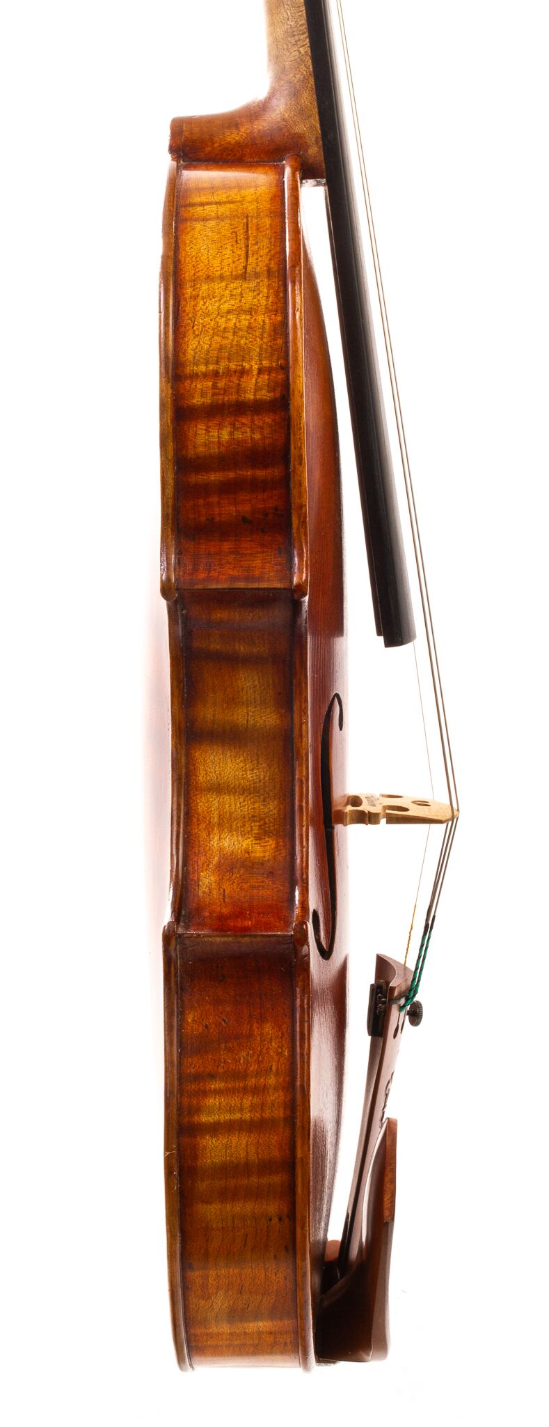 Douglas-Cox-Violin-2015-09