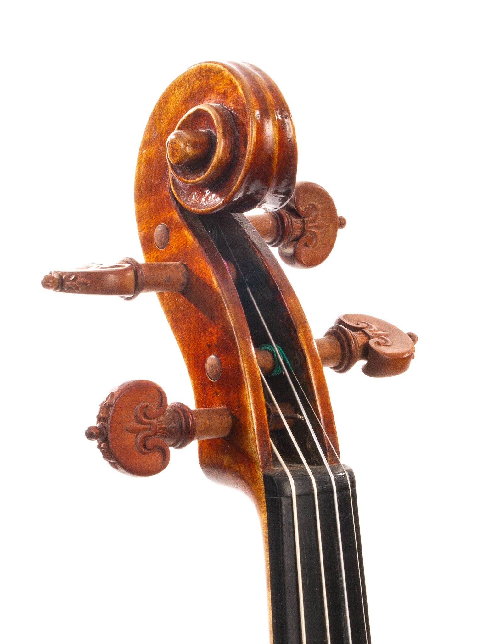 Douglas-Cox-Violin-2015-10